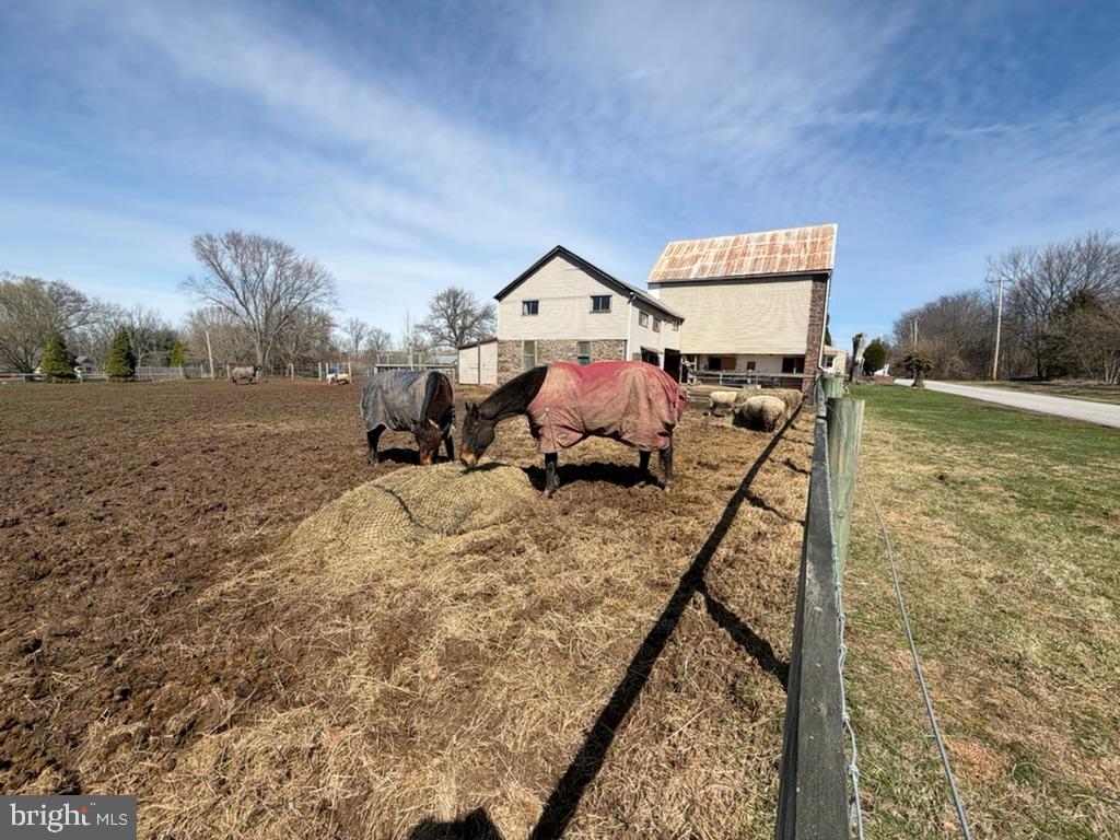 NONE AVAILABLE - Farm