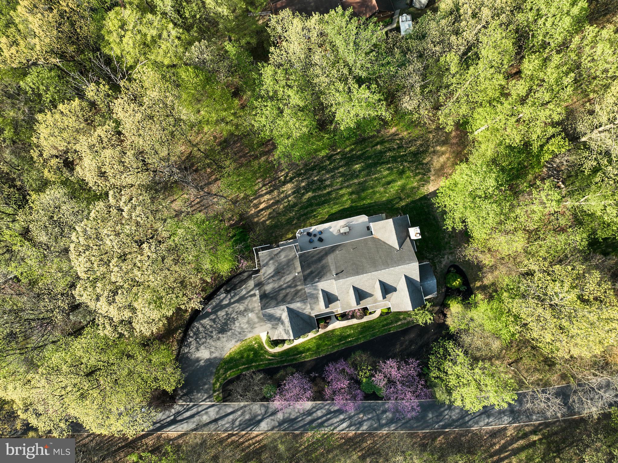 WALTON SPRING HILLS - Residential