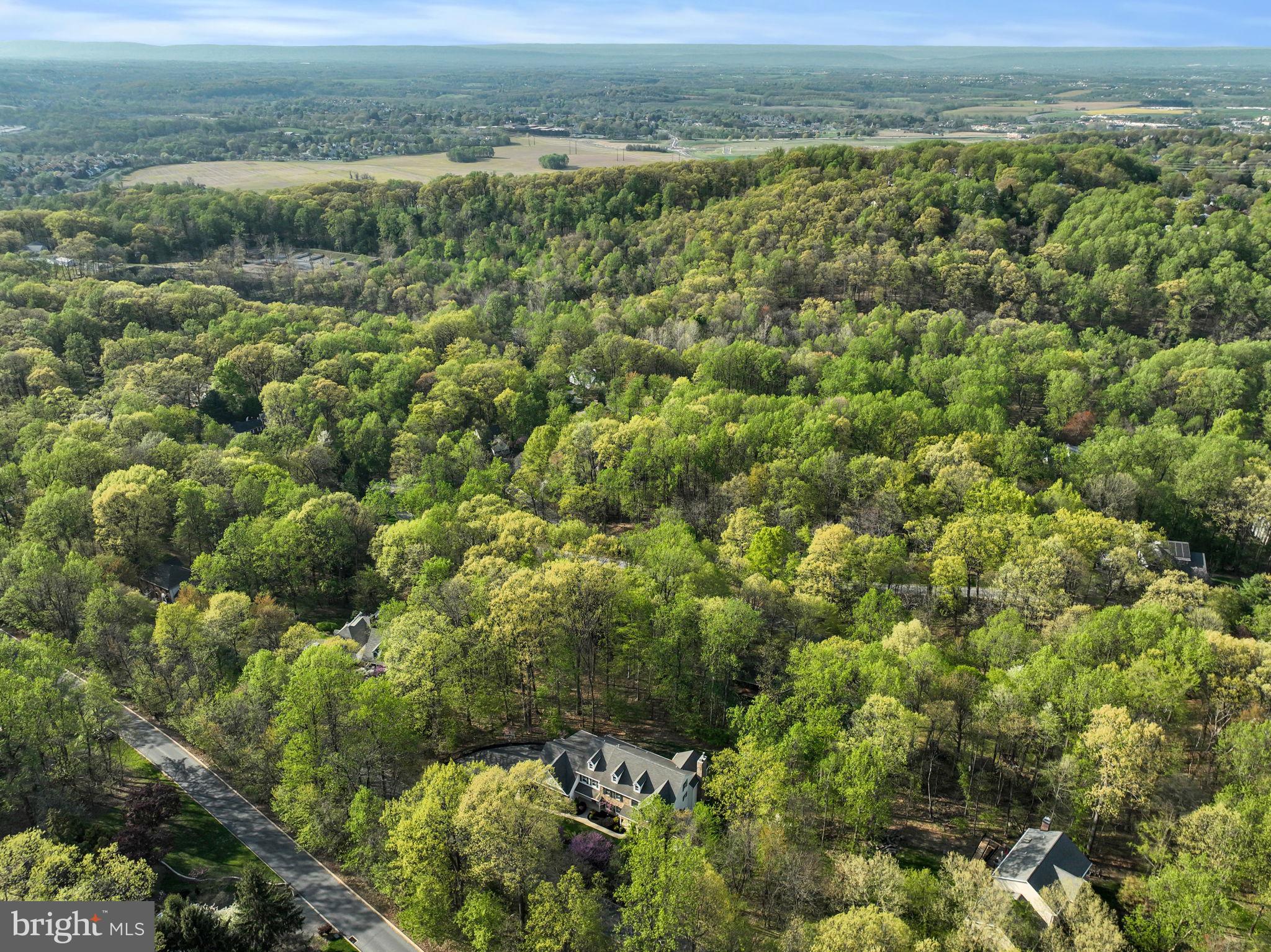 WALTON SPRING HILLS - Residential