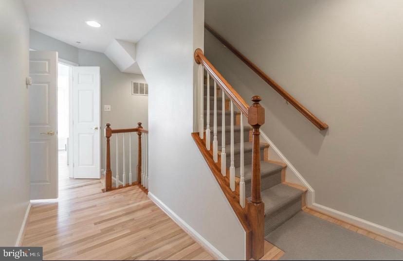 COURTHOUSE HILL - Residential Lease