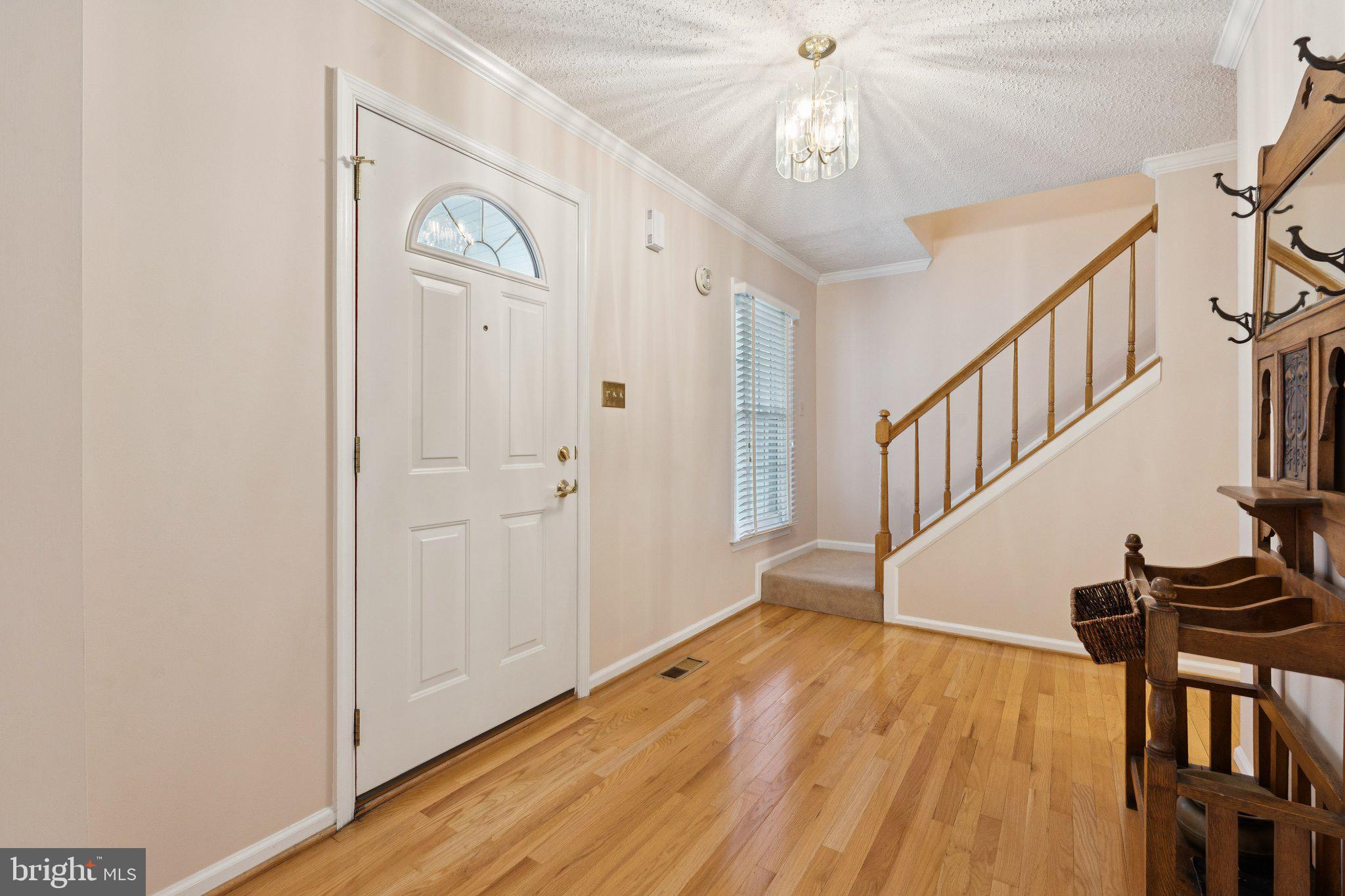 3559 PLUM DALE DRIVE