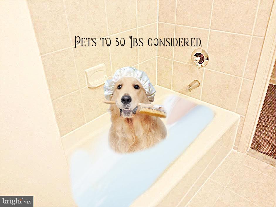 THE ROYALTON - Residential Lease