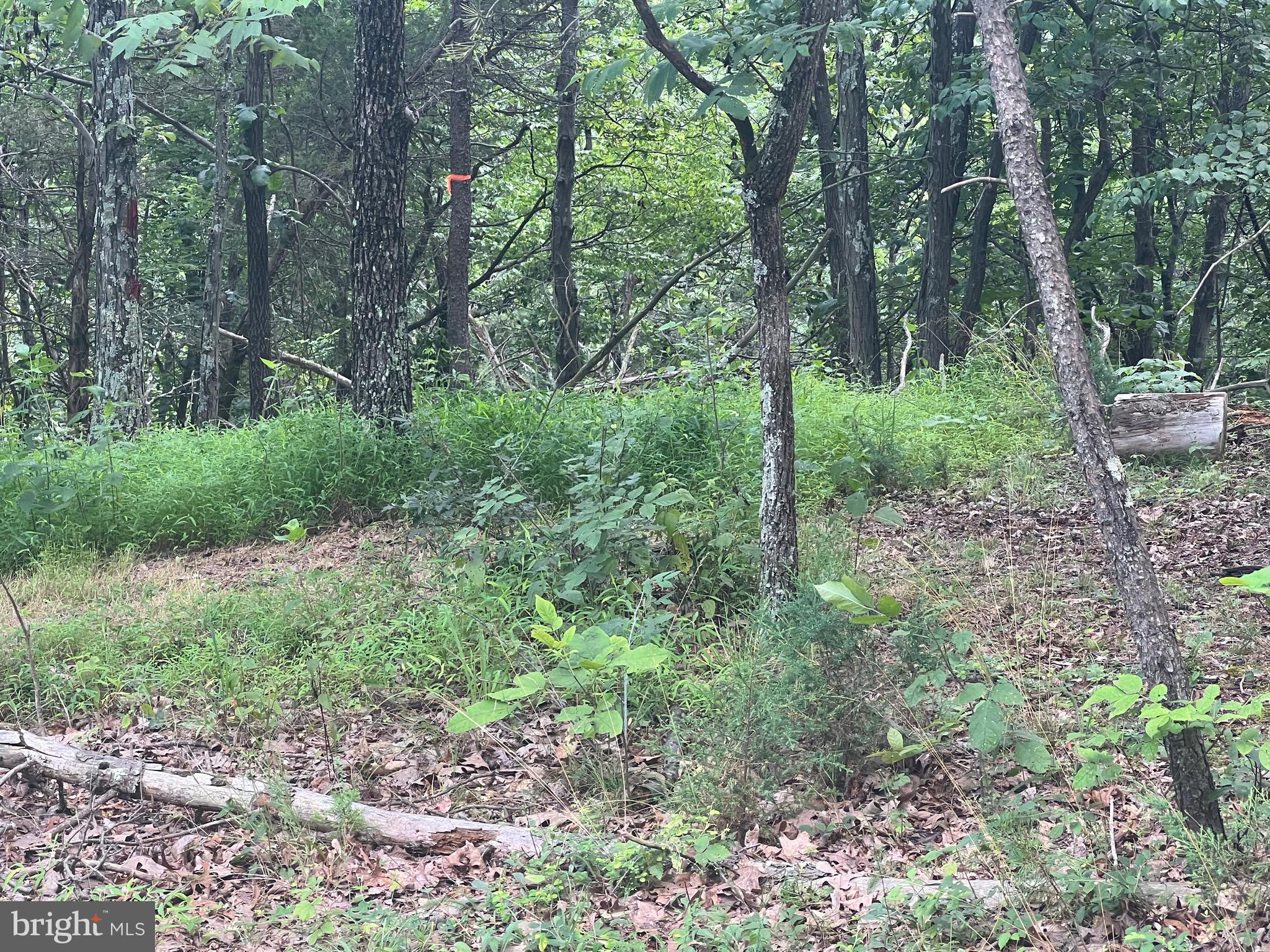 BADLANDS RANCHES - Residential