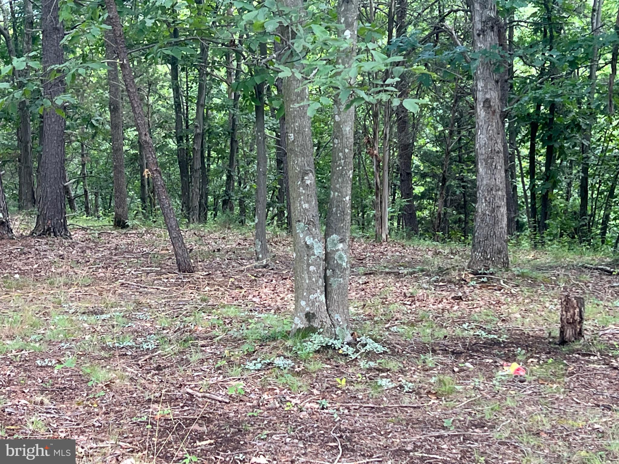 BADLANDS RANCHES - Residential