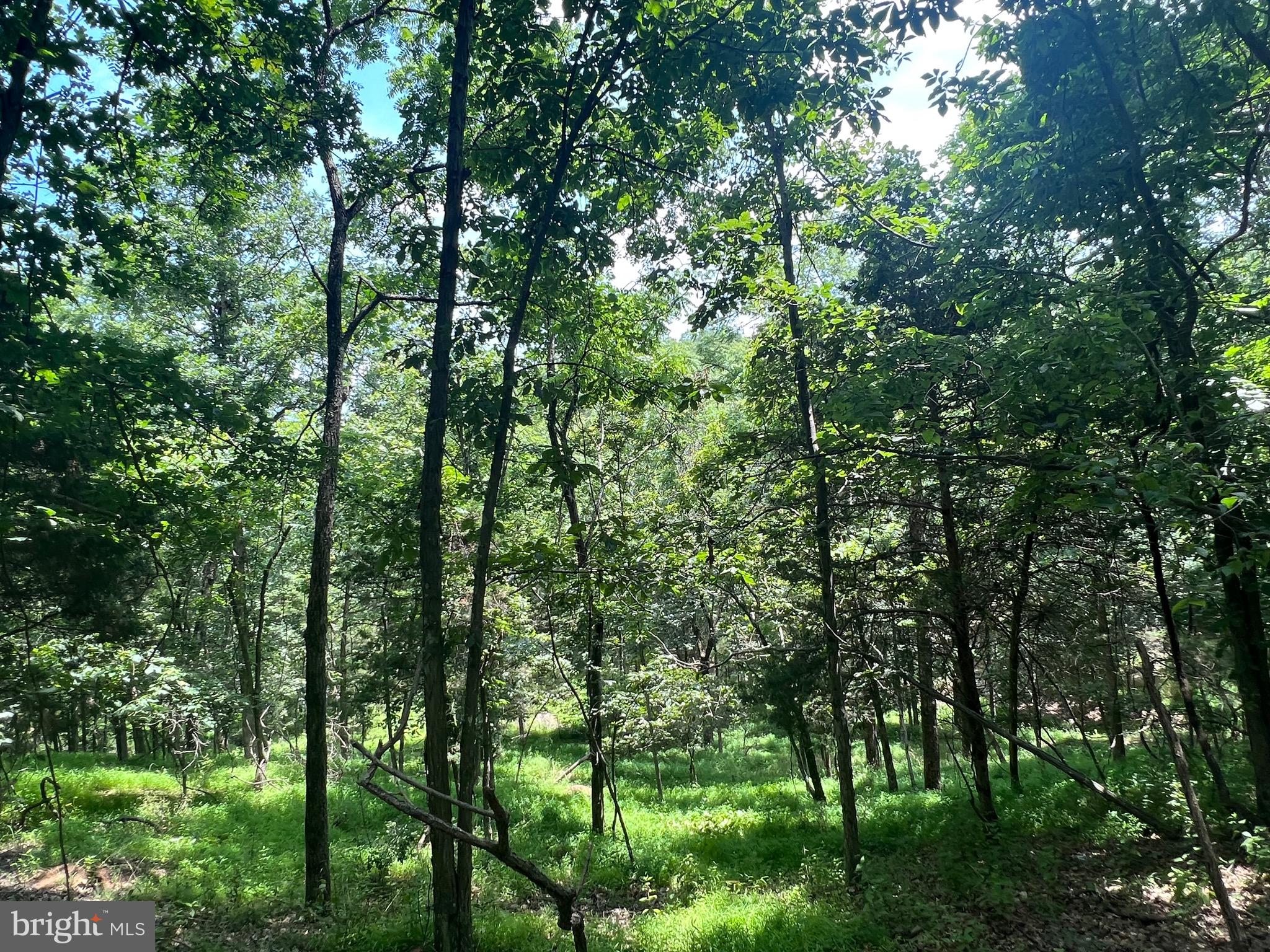 BADLANDS RANCHES - Residential