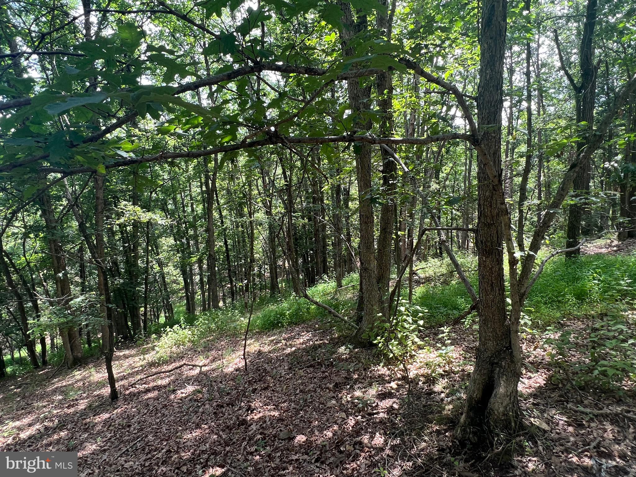 BADLANDS RANCHES - Residential