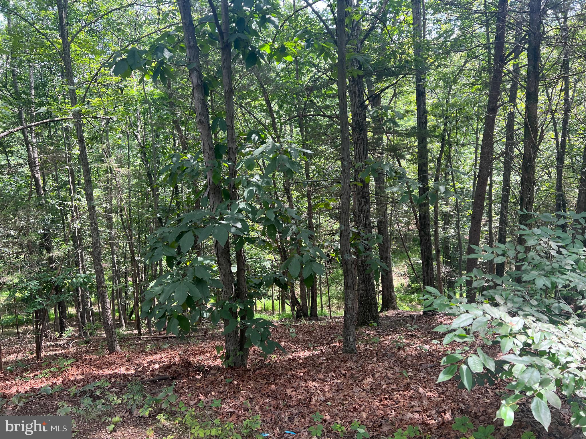 BADLANDS RANCHES - Residential