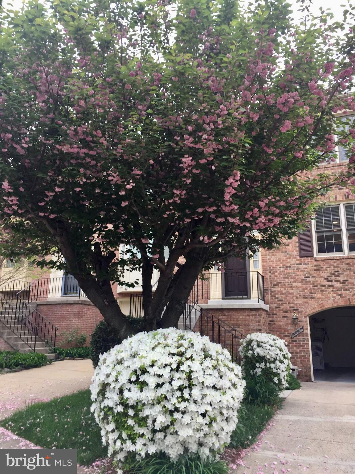 KINGSBERRY - Residential