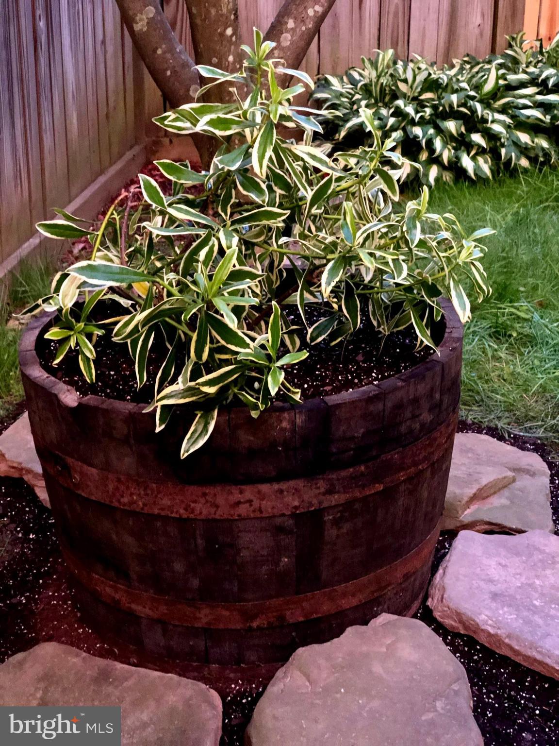 KINGSBERRY - Residential