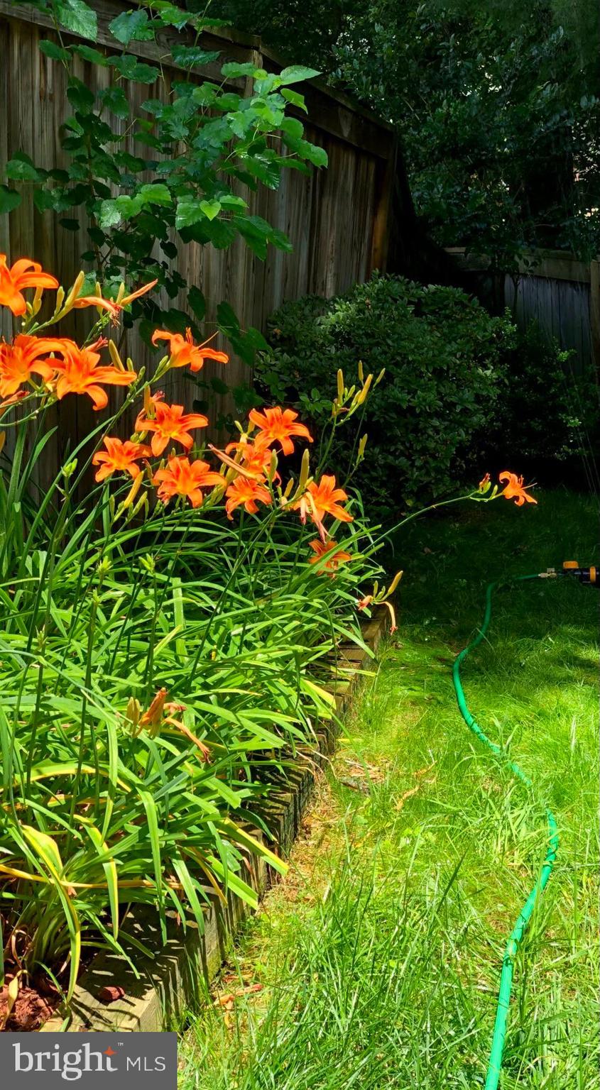 KINGSBERRY - Residential