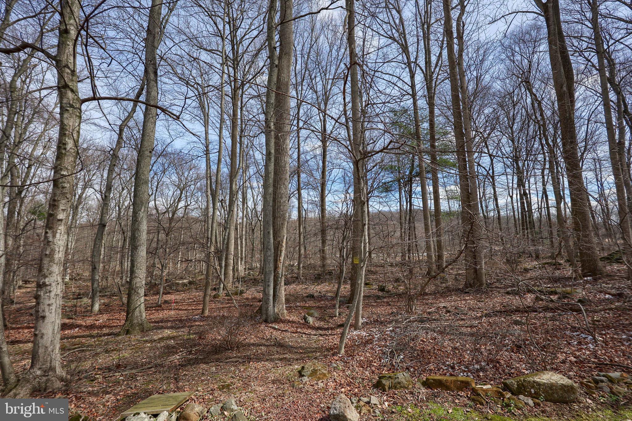 GRETNA SPRINGS COMMUNITY - Residential