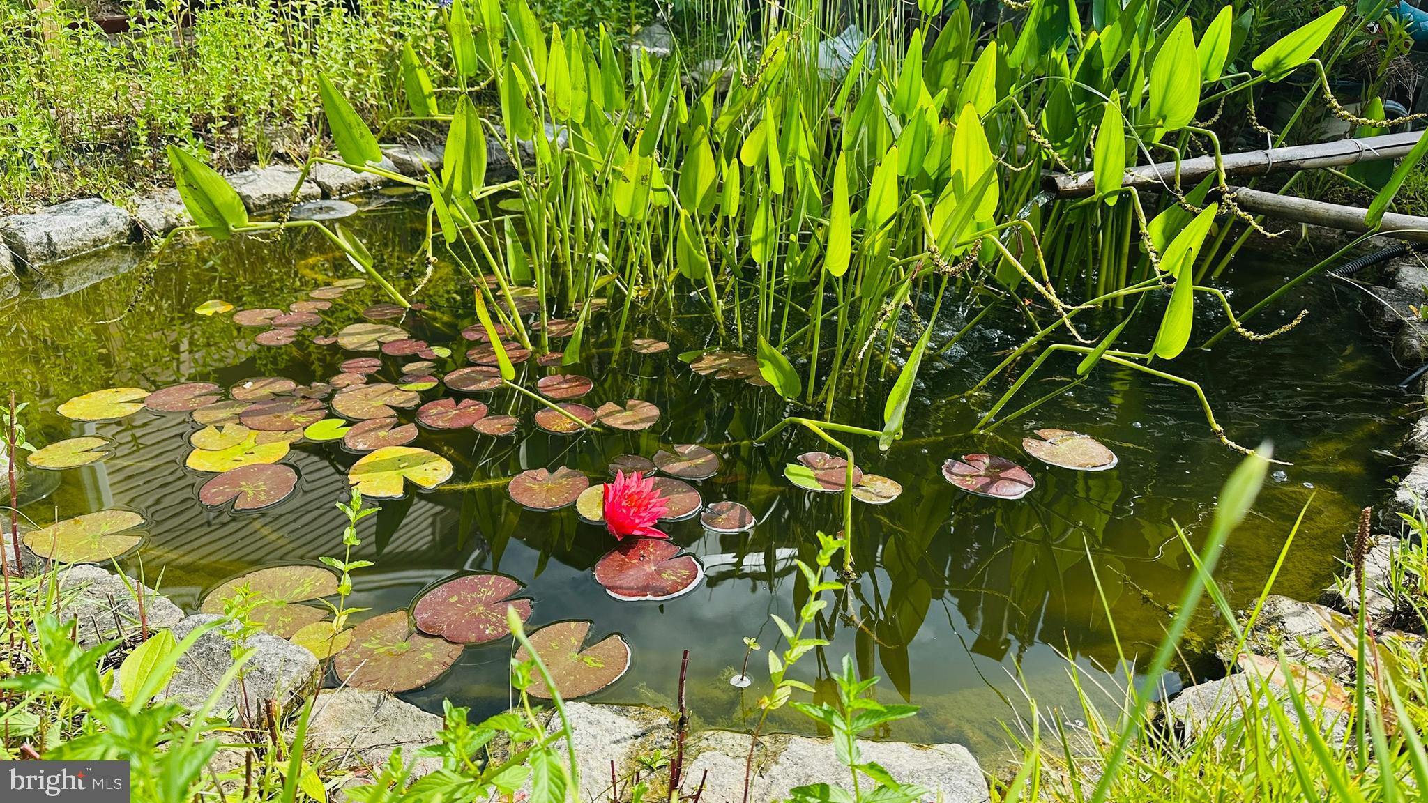 WYNNEWOOD - Residential