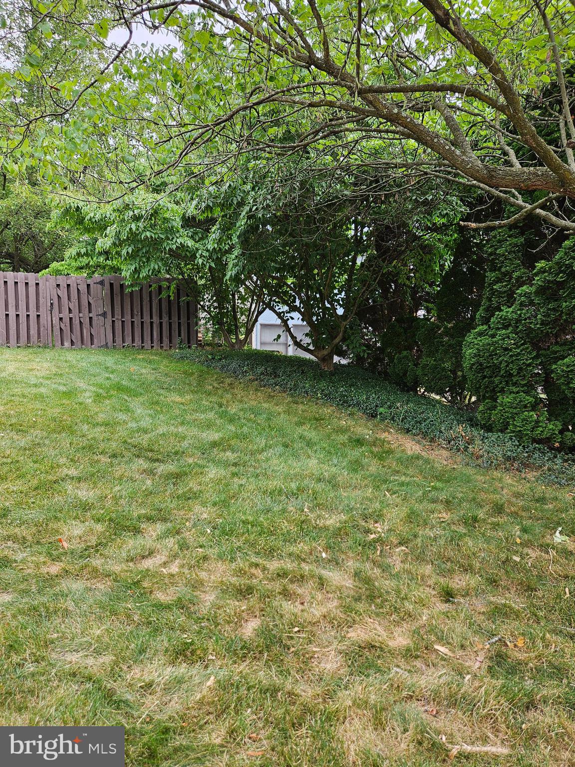 GREENTREE - Residential