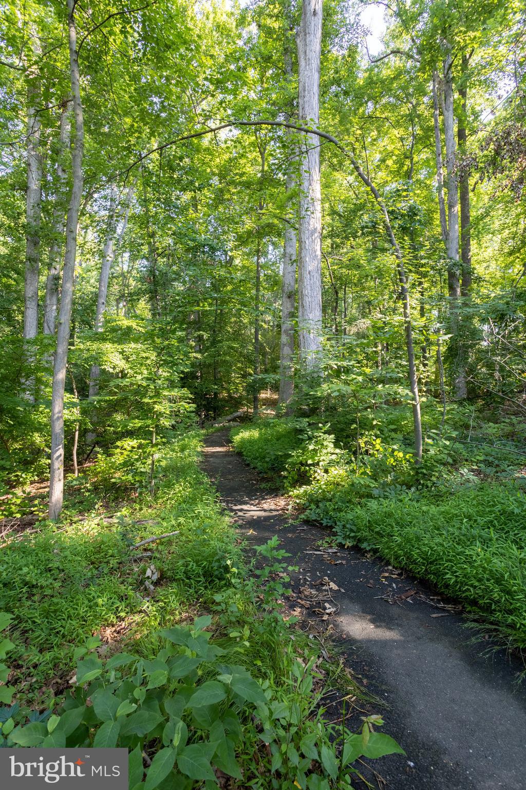 NEWINGTON STATION - Residential