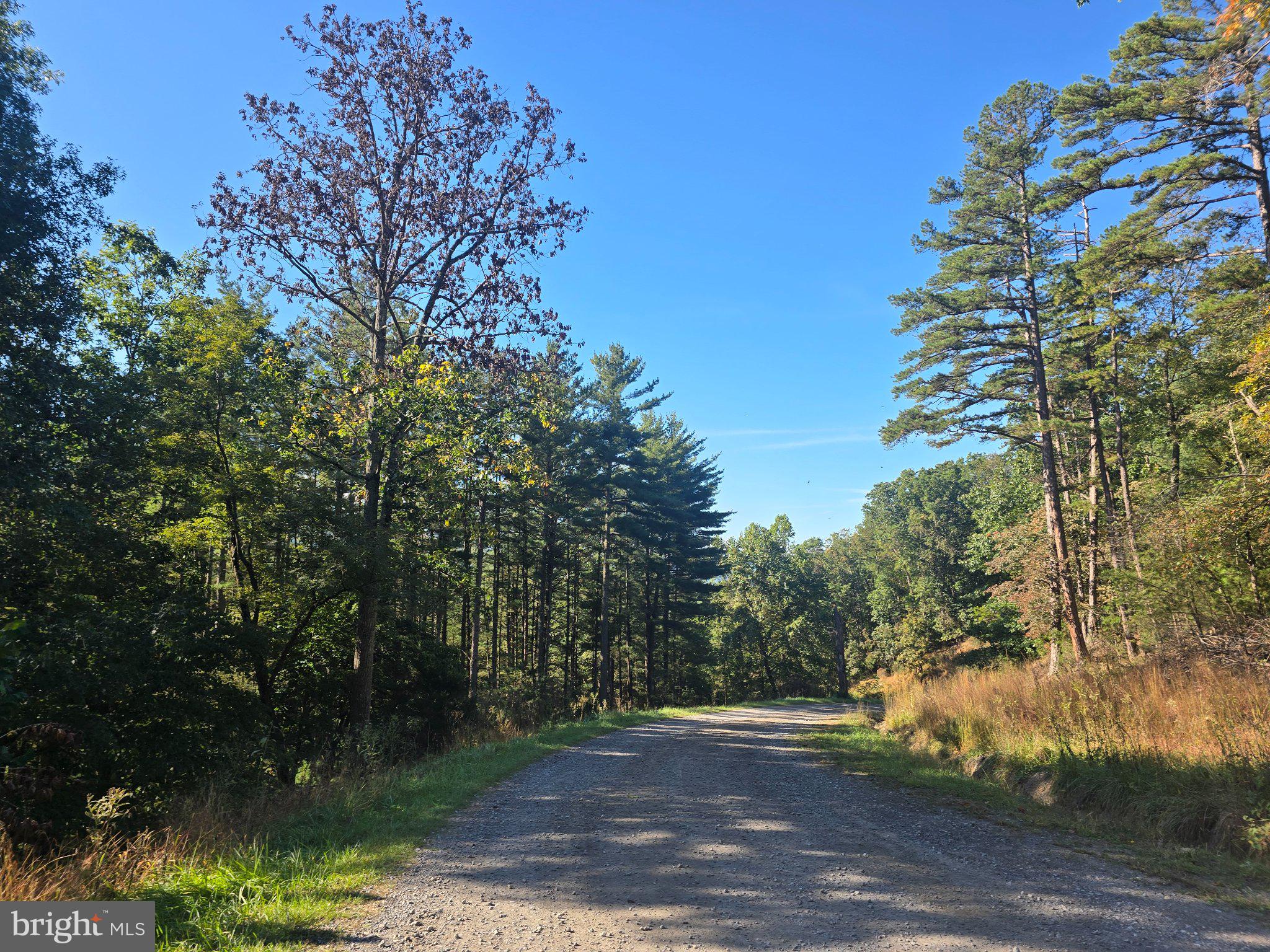 209 HAPPY HOLLOW ROAD