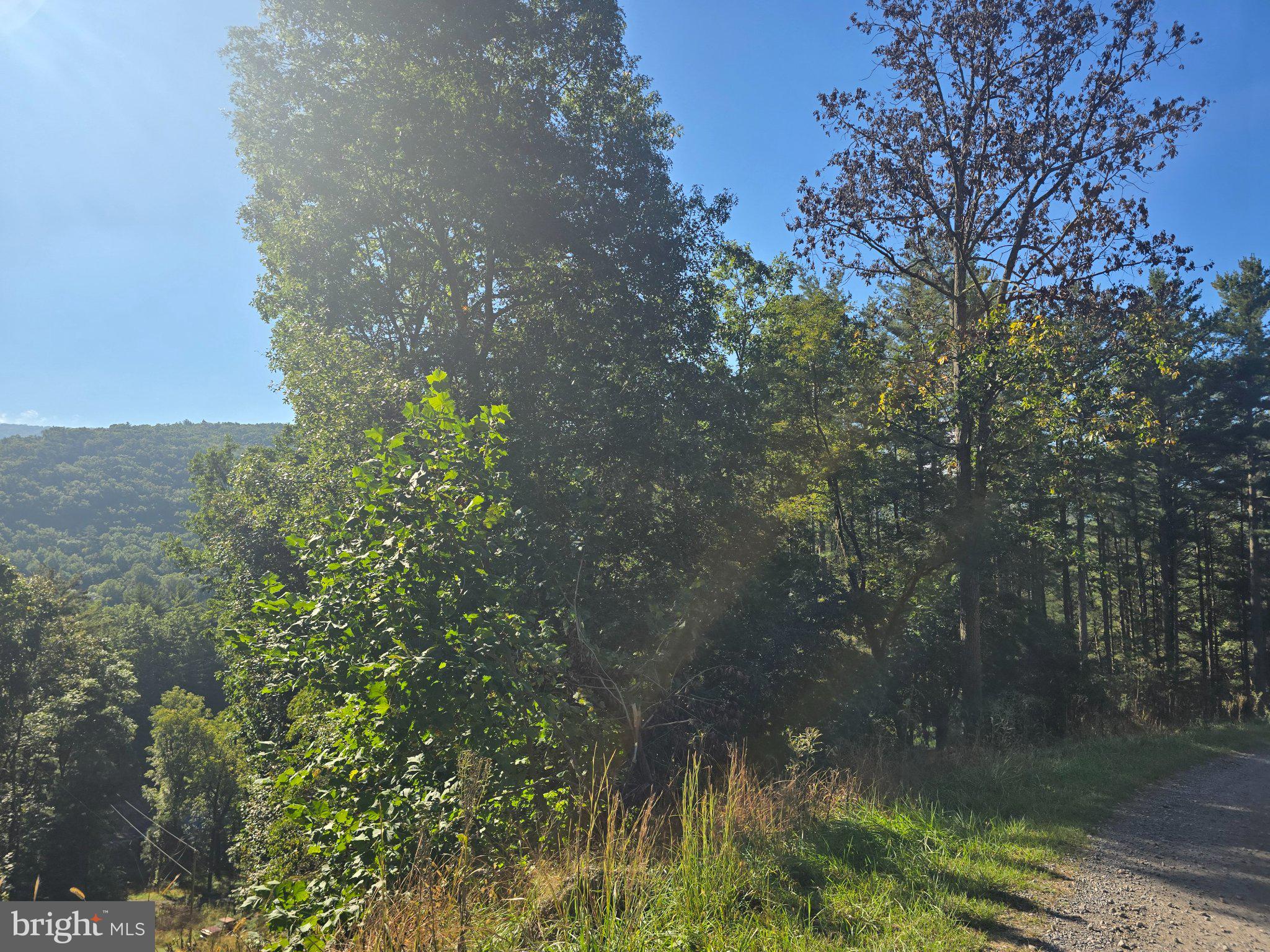 209 HAPPY HOLLOW ROAD