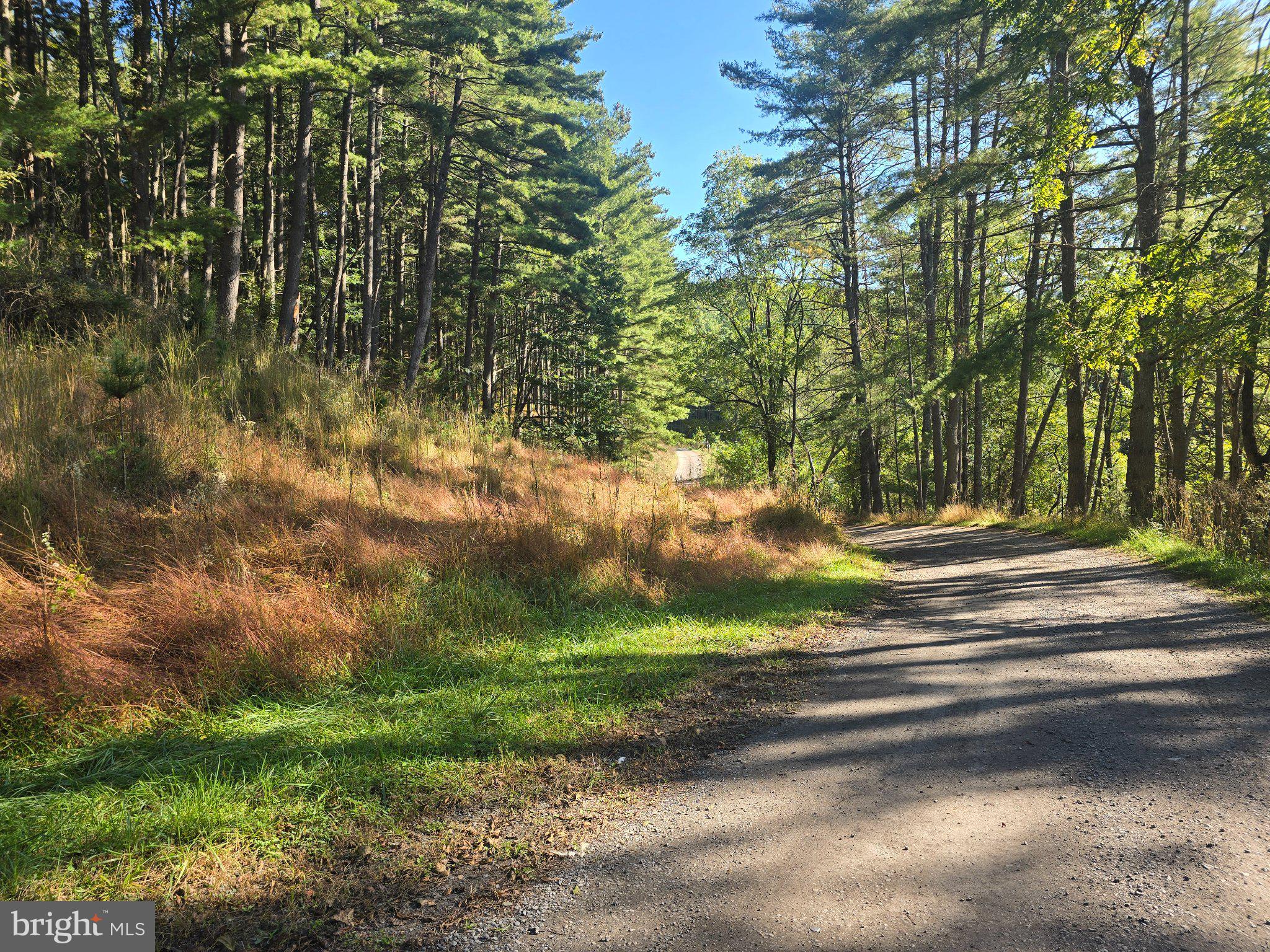 209 HAPPY HOLLOW ROAD