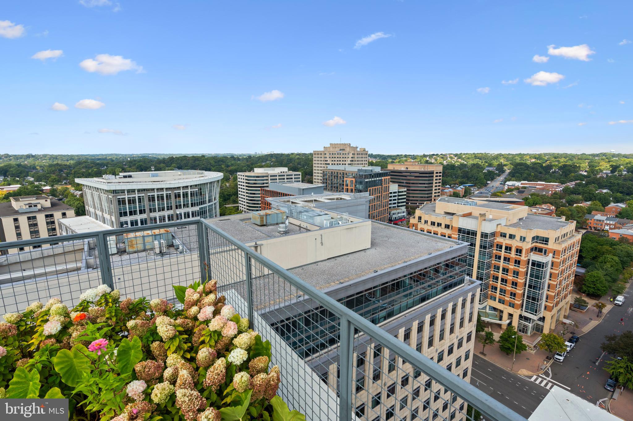 CONTINENTAL - Residential