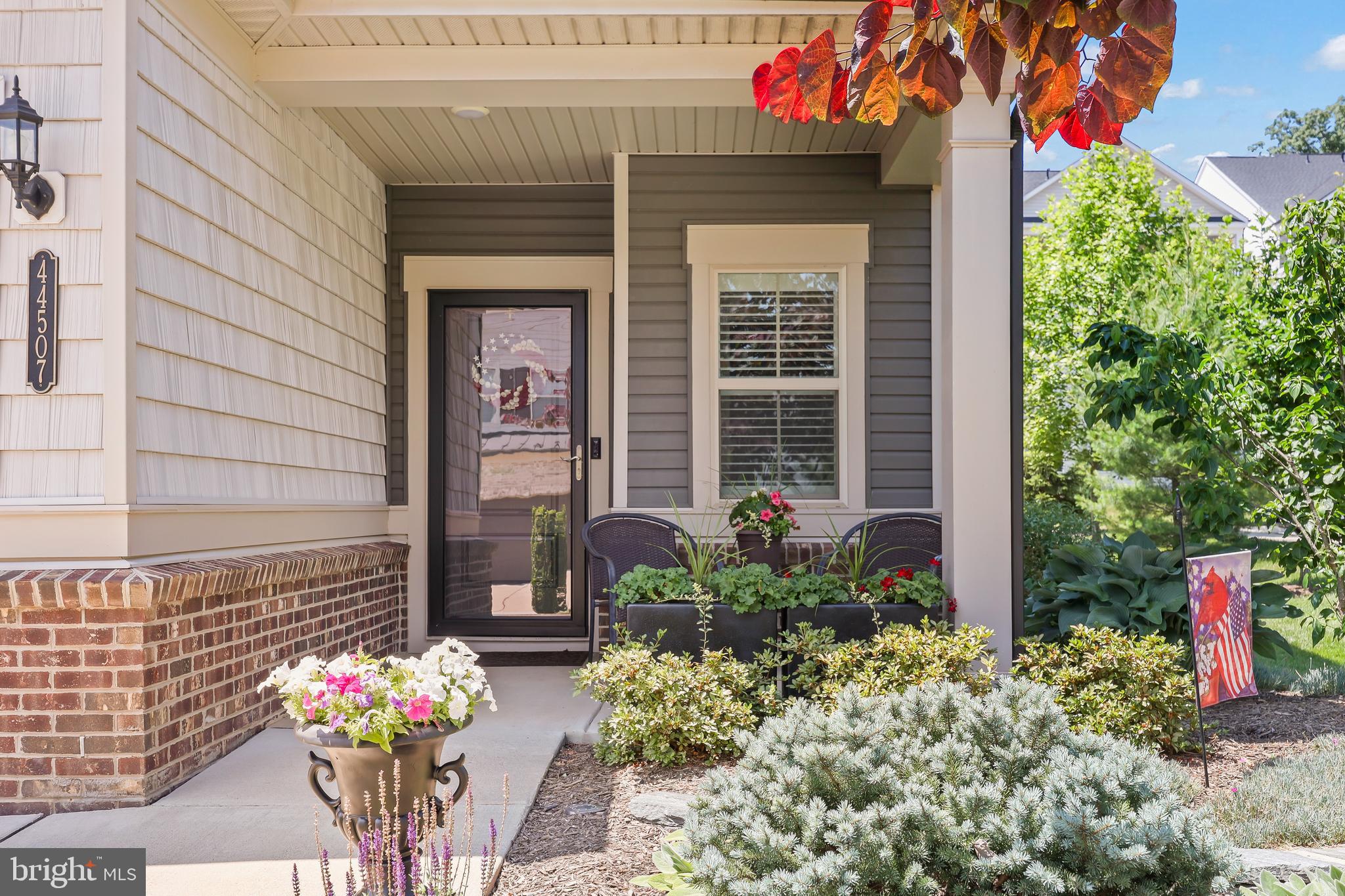 44507 OCOLA SKIPPER TERRACE