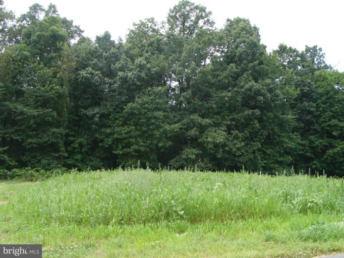 NONE AVAILABLE - Land