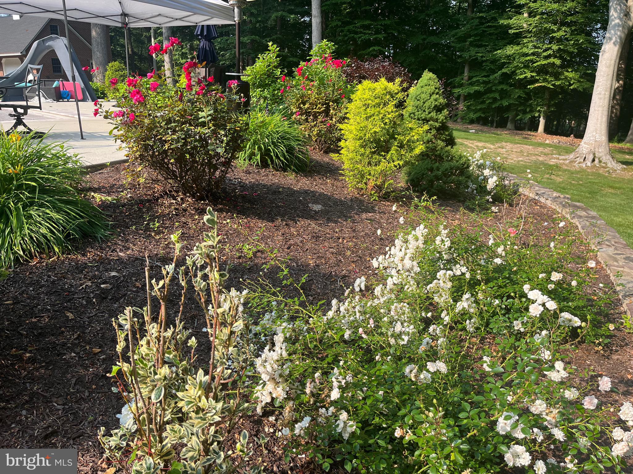 CEDAR KNOLL - Residential