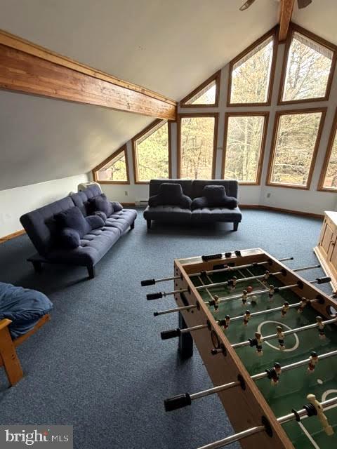 JIM THORPE AREA - Residential
