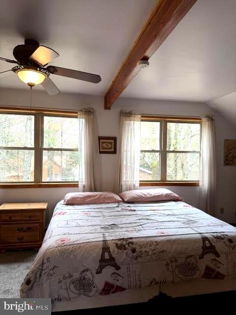 JIM THORPE AREA - Residential