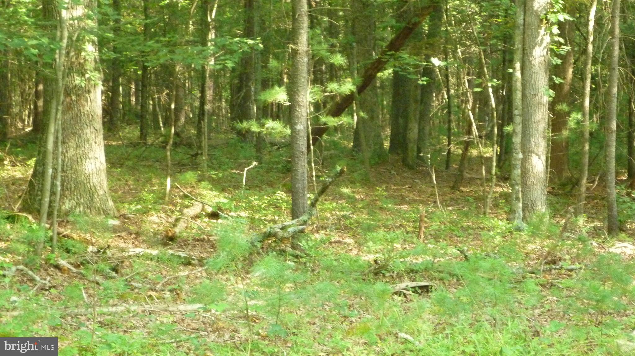 ALUM SPRINGS RD.
