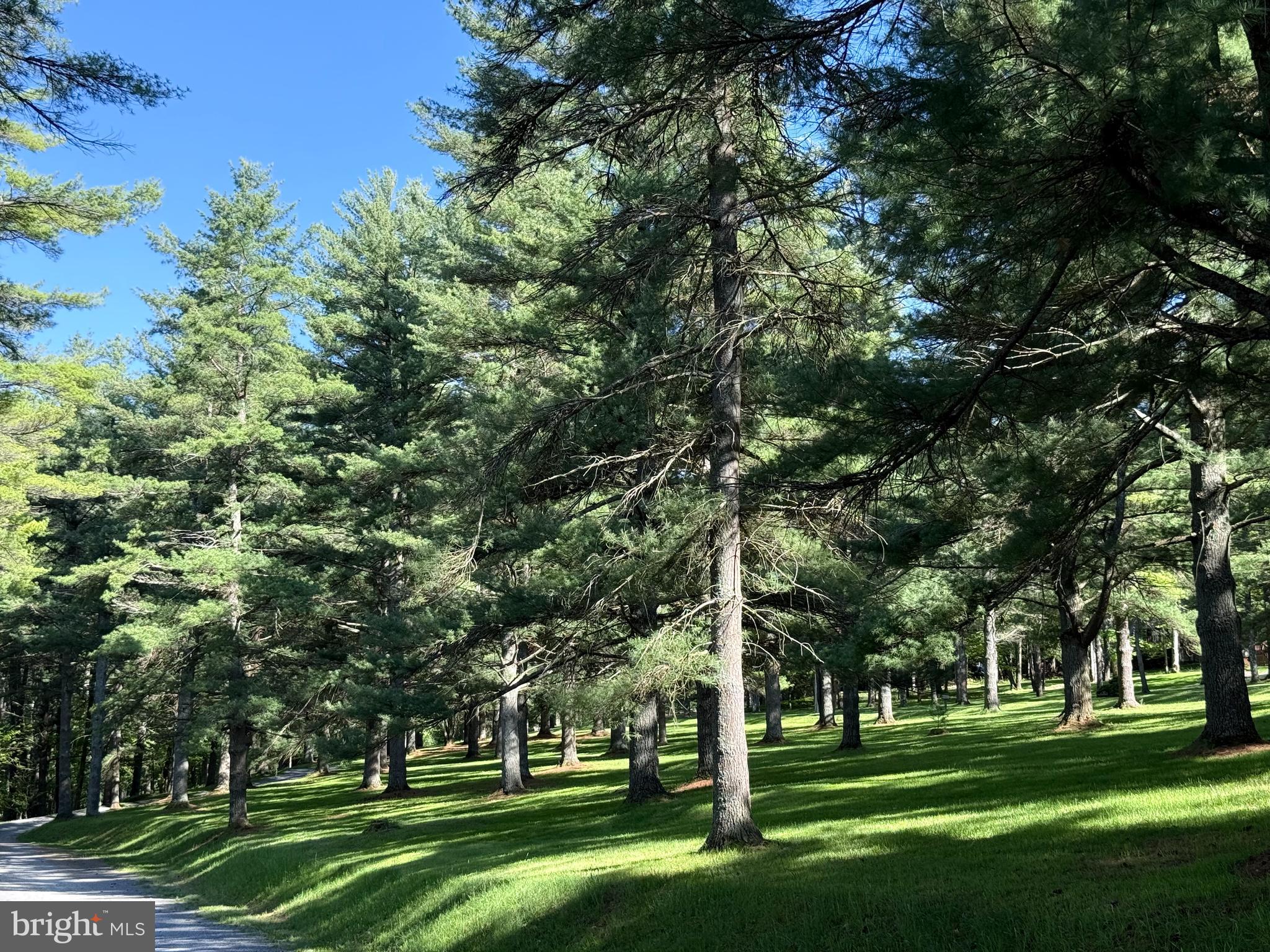 SKY VALLEY - Residential