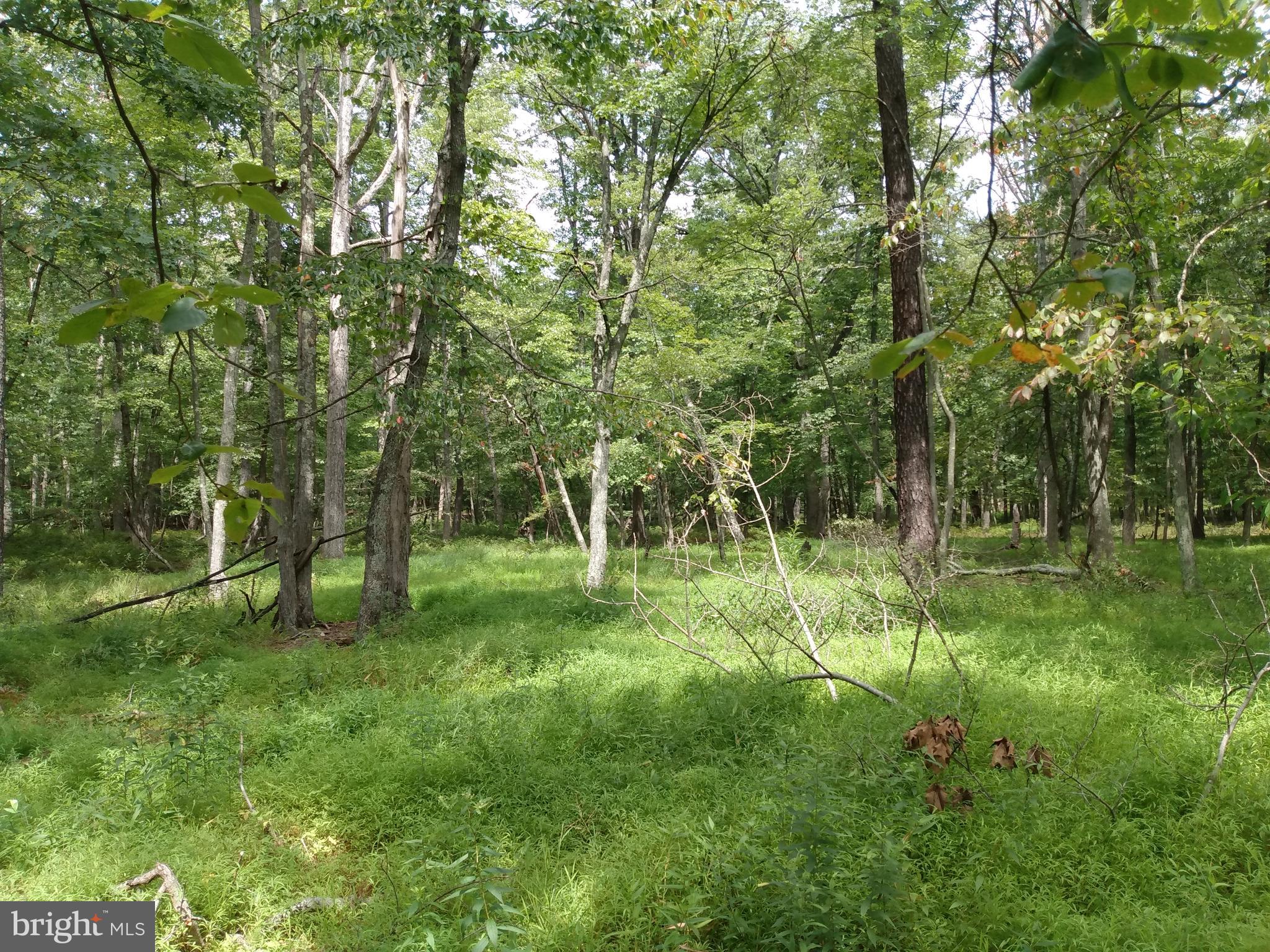 CACAPON HIGHLANDS - Land