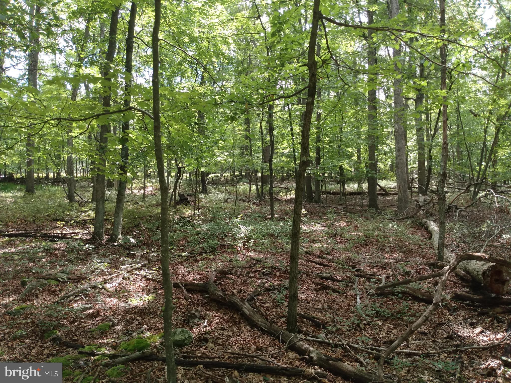 CACAPON HIGHLANDS - Land