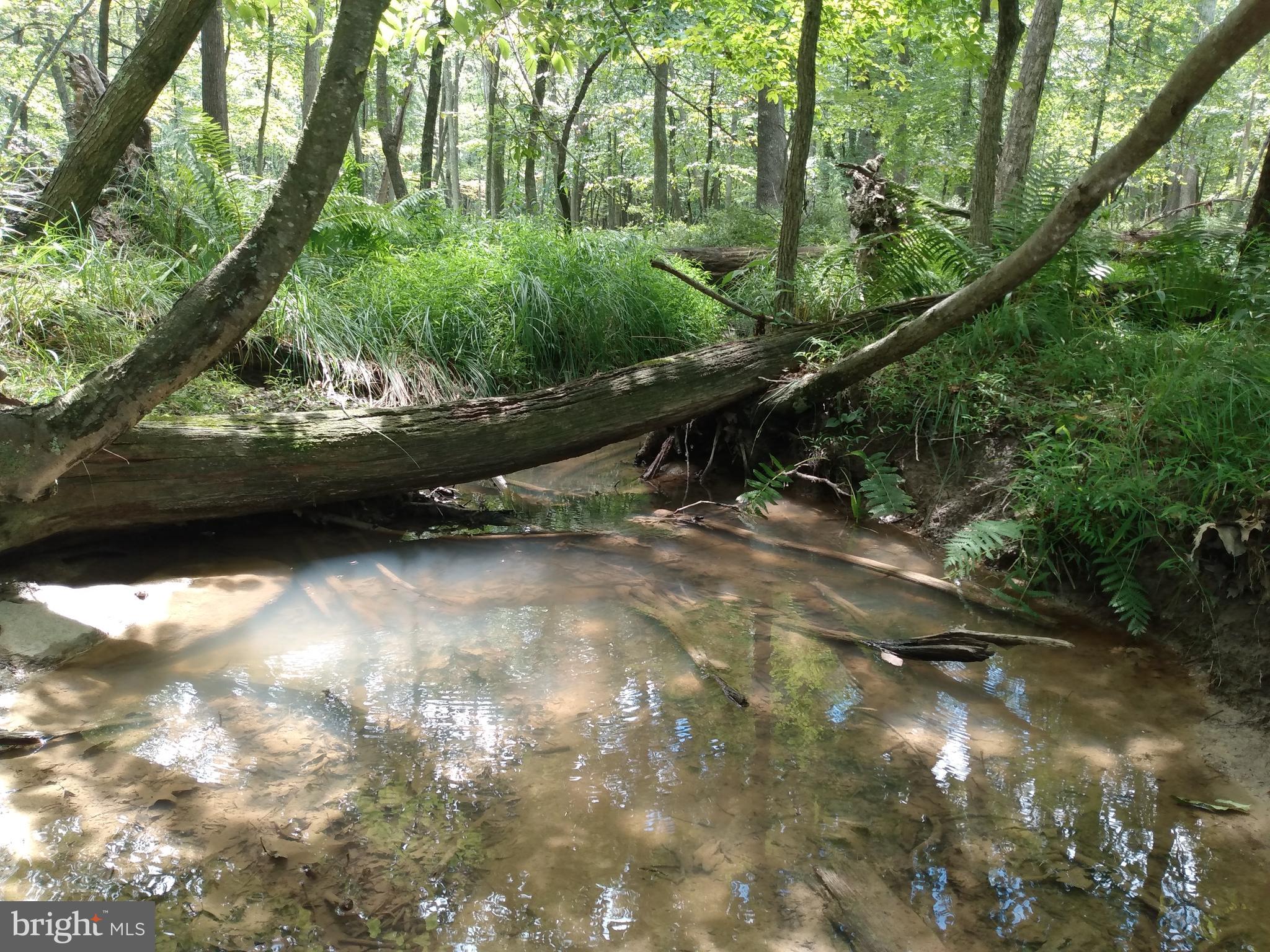 CACAPON HIGHLANDS - Land