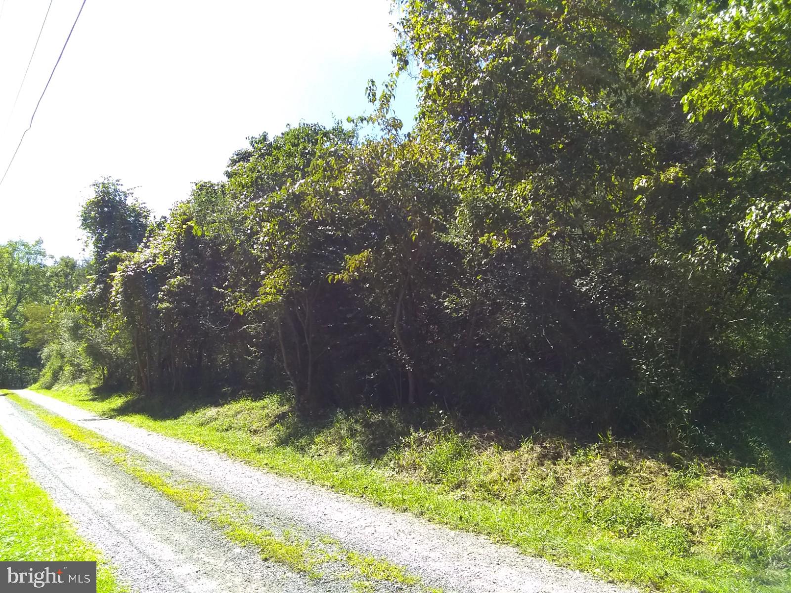 CACAPON HIGHLANDS - Land