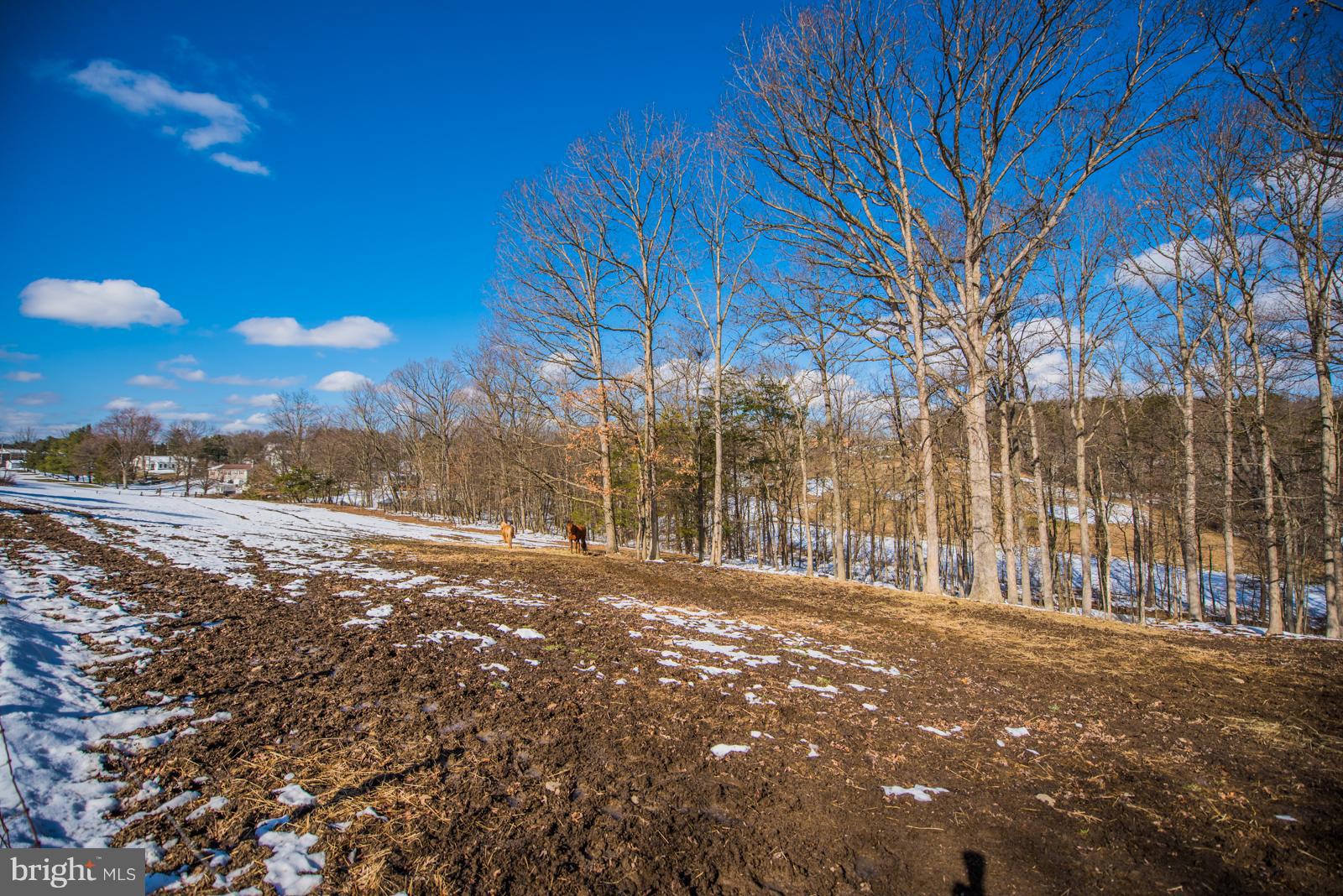 NONE AVAILABLE - Farm