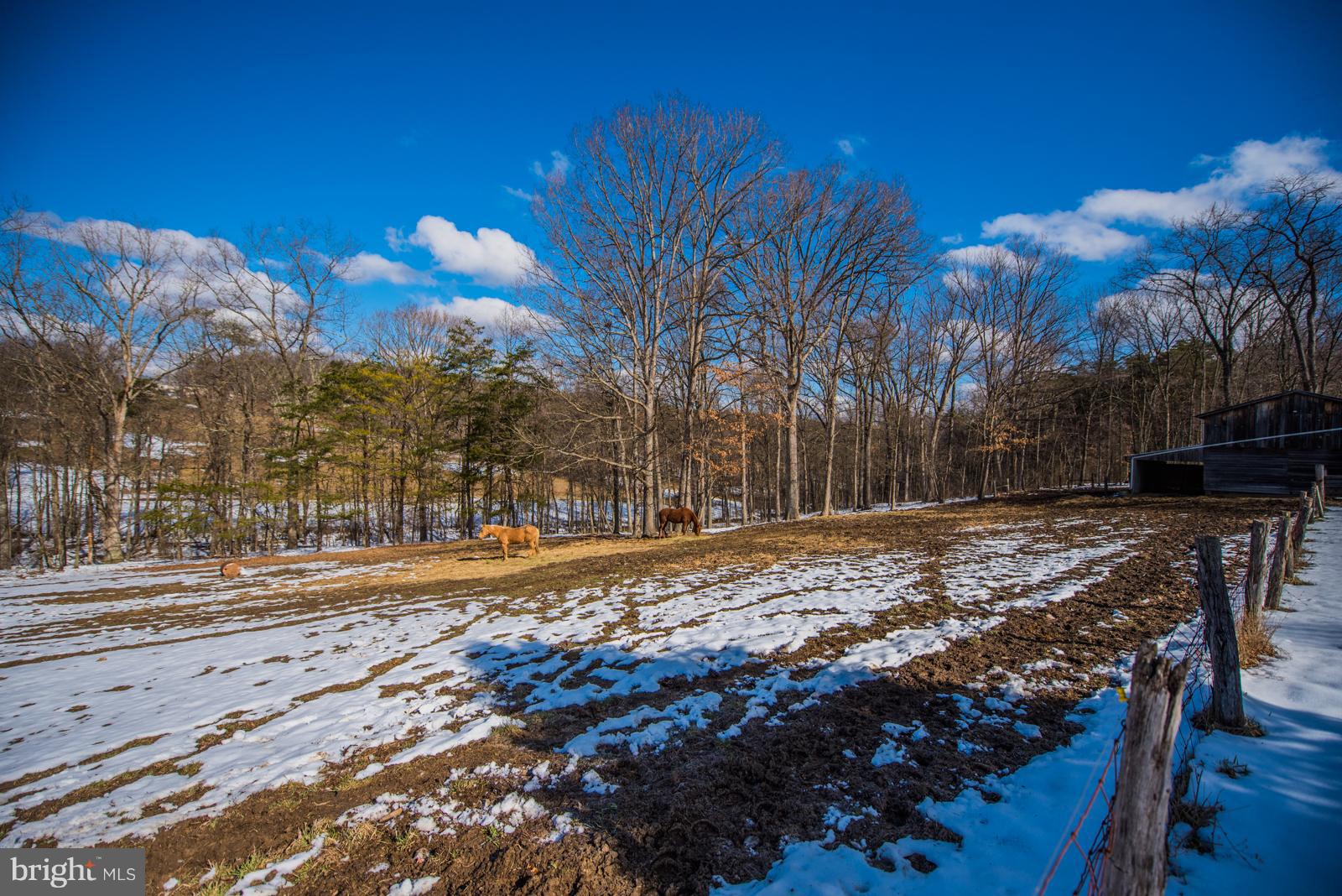 NONE AVAILABLE - Farm