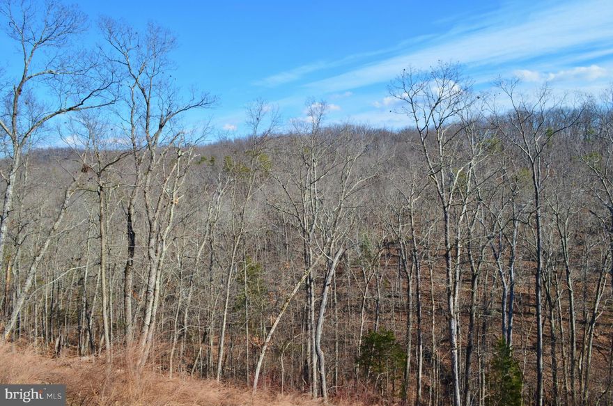 If you are in search of the perfect building lot that provides seclusion yet has easy access with state-maintained roads nearby.  You've found it! Property Manager tells me Tremendous views of the Signal Knob Mountain can be created from your homesite Lot 28 with the clearing of trees! Perfect Dream Home Lot for the commuter looking to escape from the hustle of the city! Whether you want a House-on-the-Hillside Lot surrounded by seclusion, or a lot located close to the Private Common Use area for Lake Access, we have exactly what you're looking for.  Only 3 lots remain out of 41!