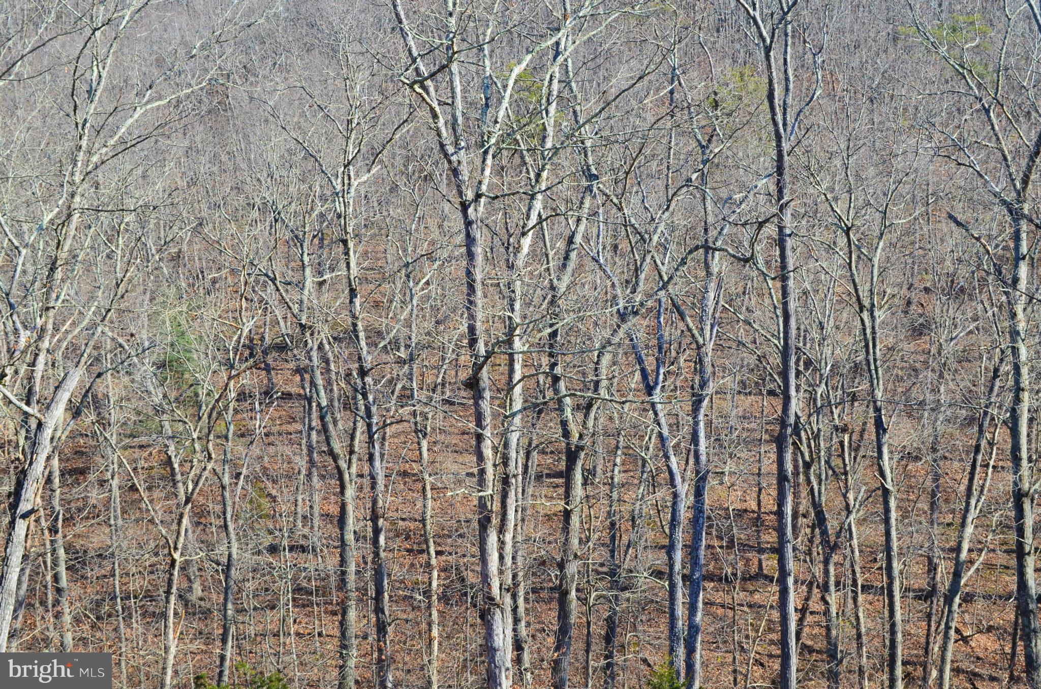 GAFIA ESTATES AT LAKE JOHN - Land