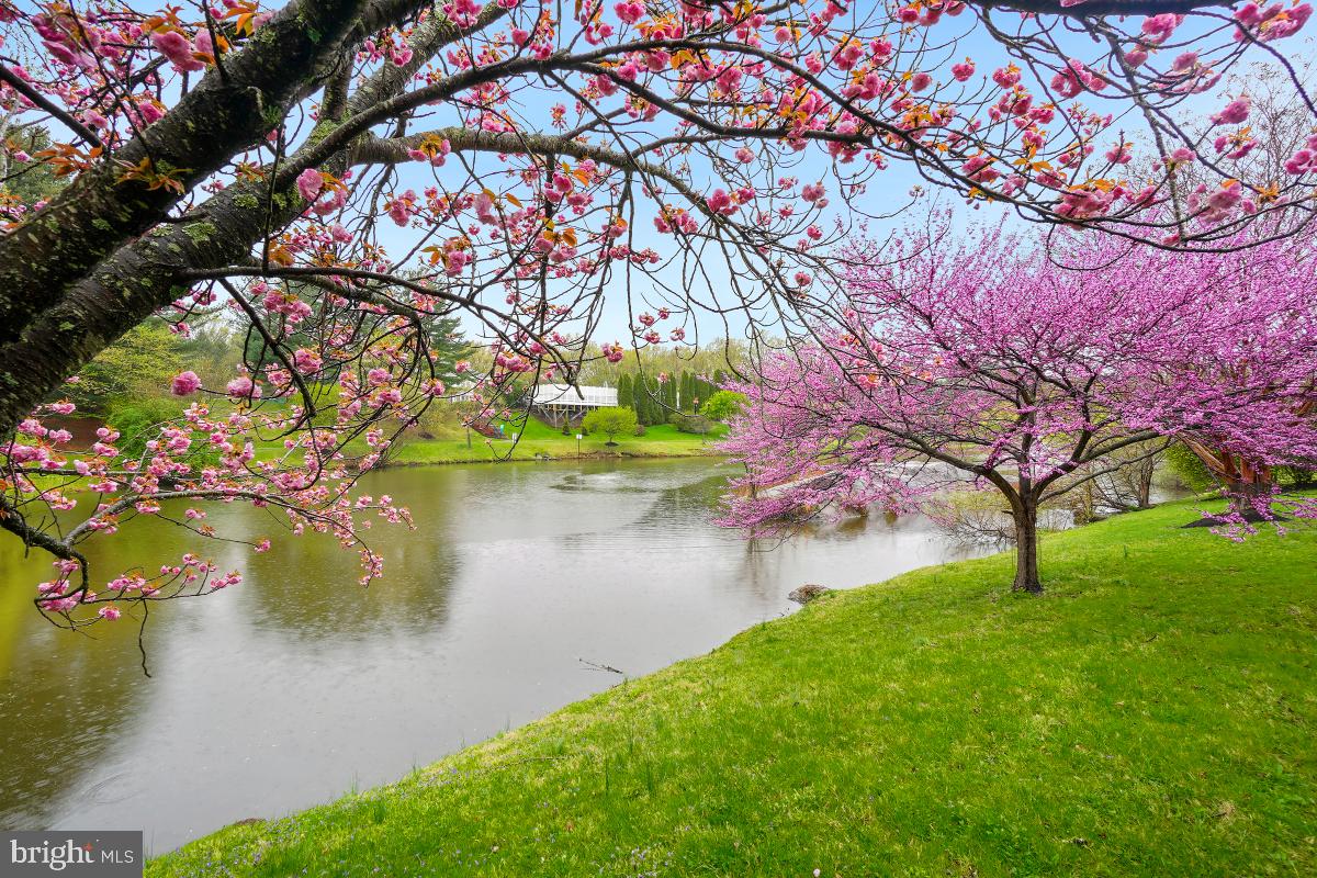 STONEBRIDGE - Residential