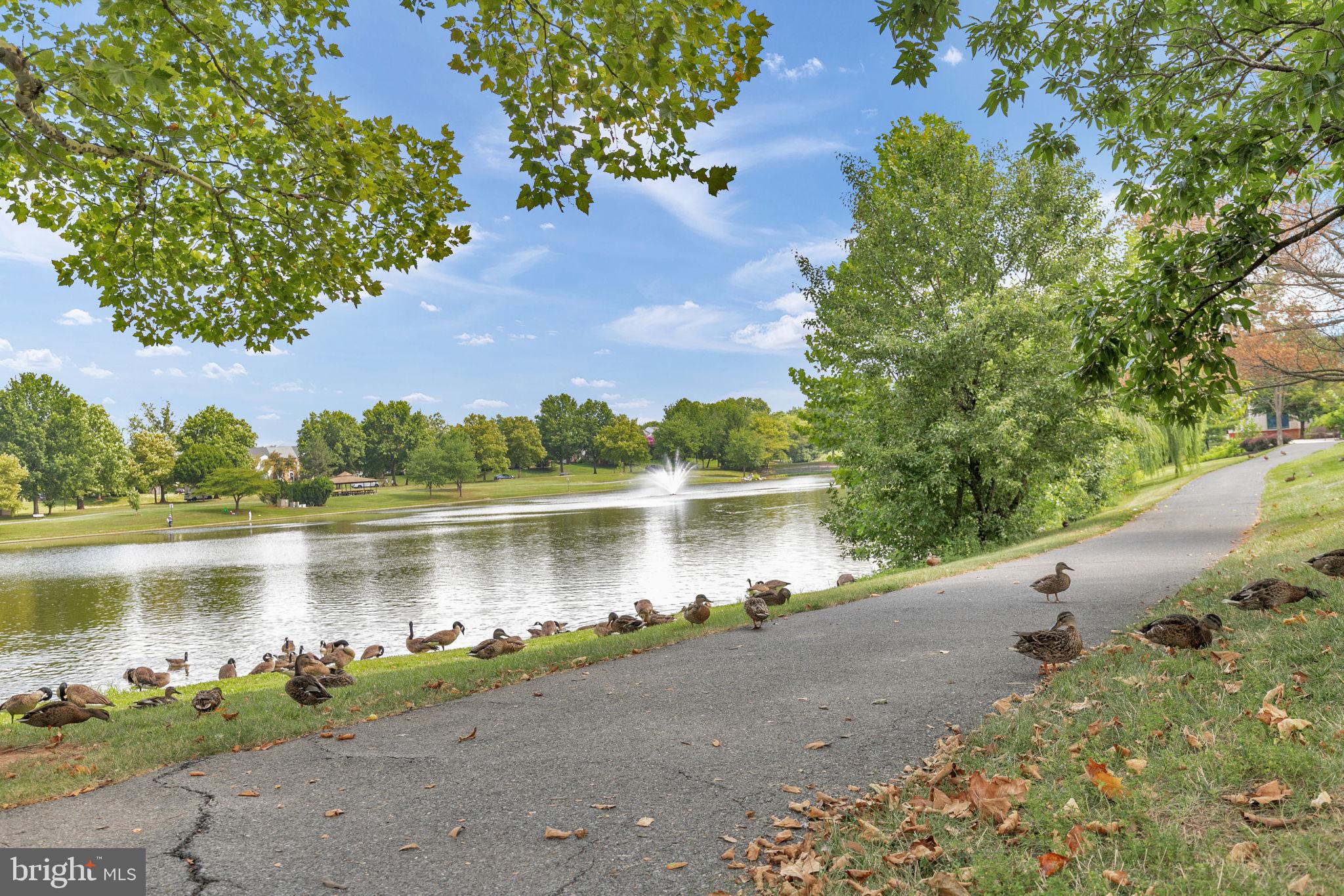 LAKETREE - Residential