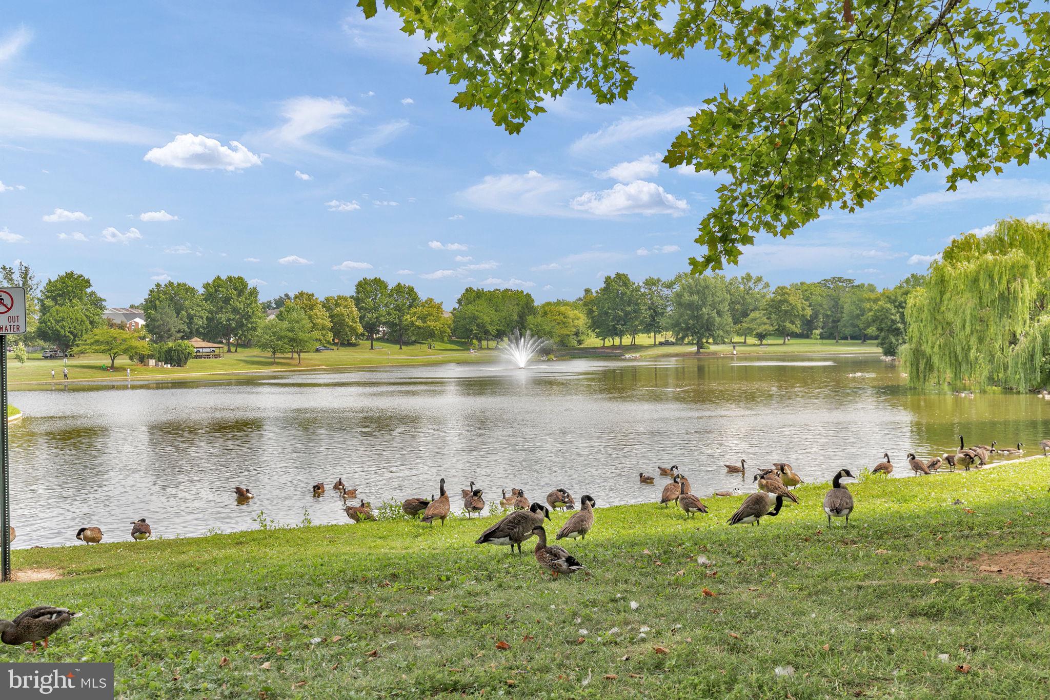 LAKETREE - Residential