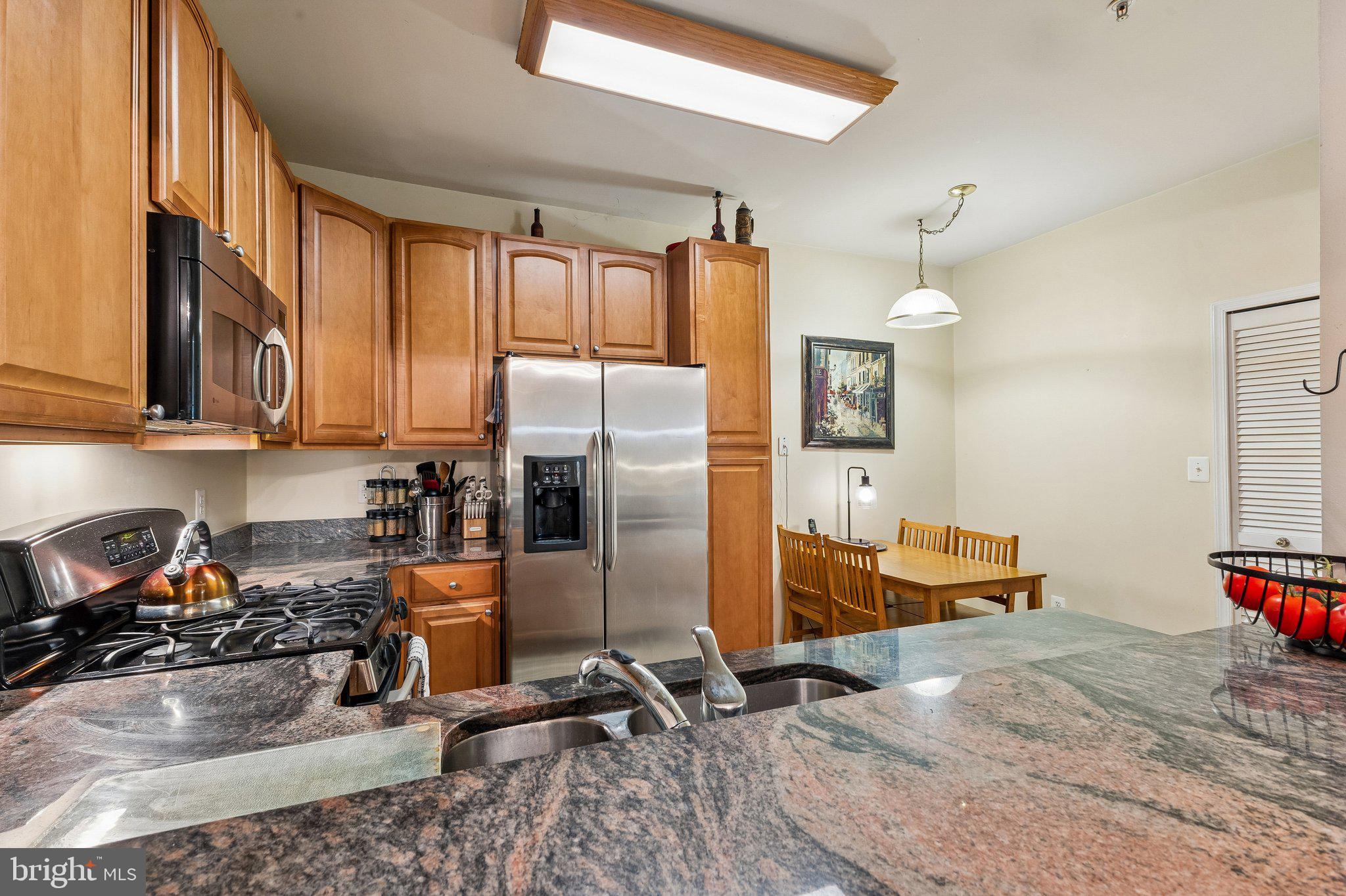 13891 CHELMSFORD DRIVE 110