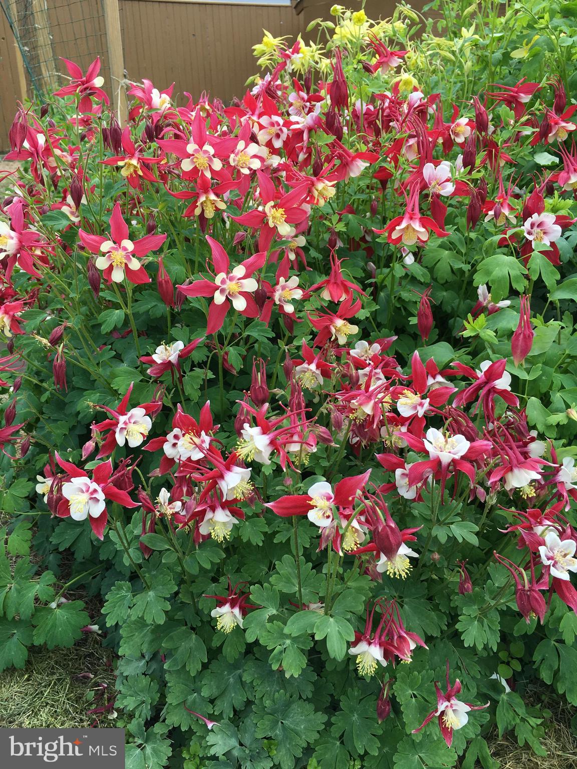 MANOR LAKE - Residential