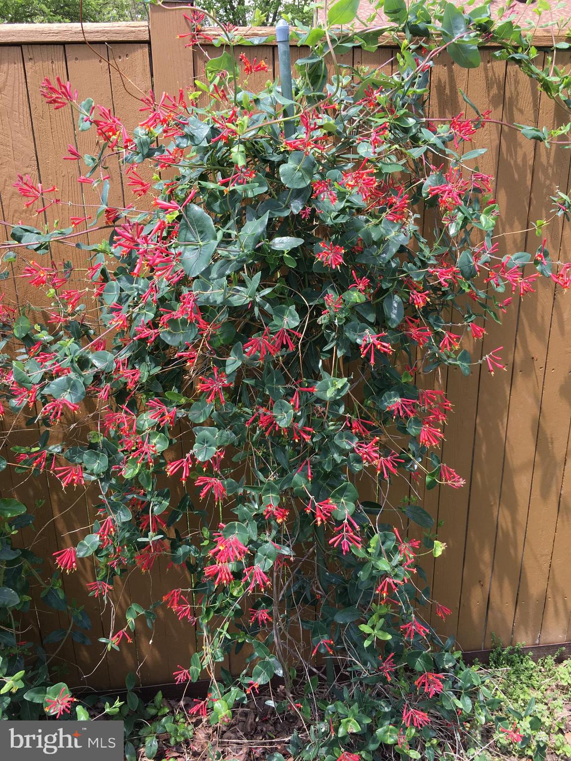 MANOR LAKE - Residential