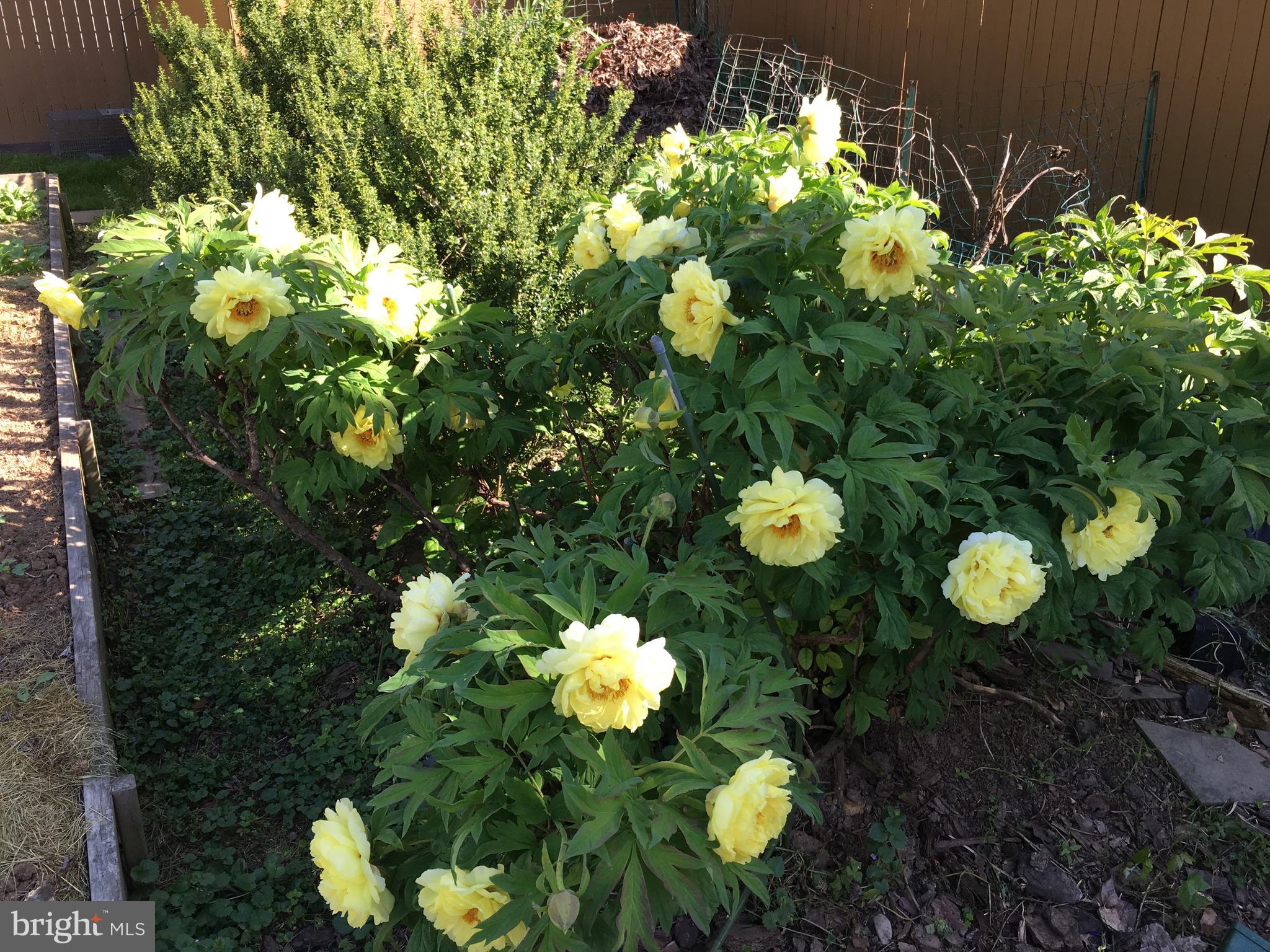 MANOR LAKE - Residential