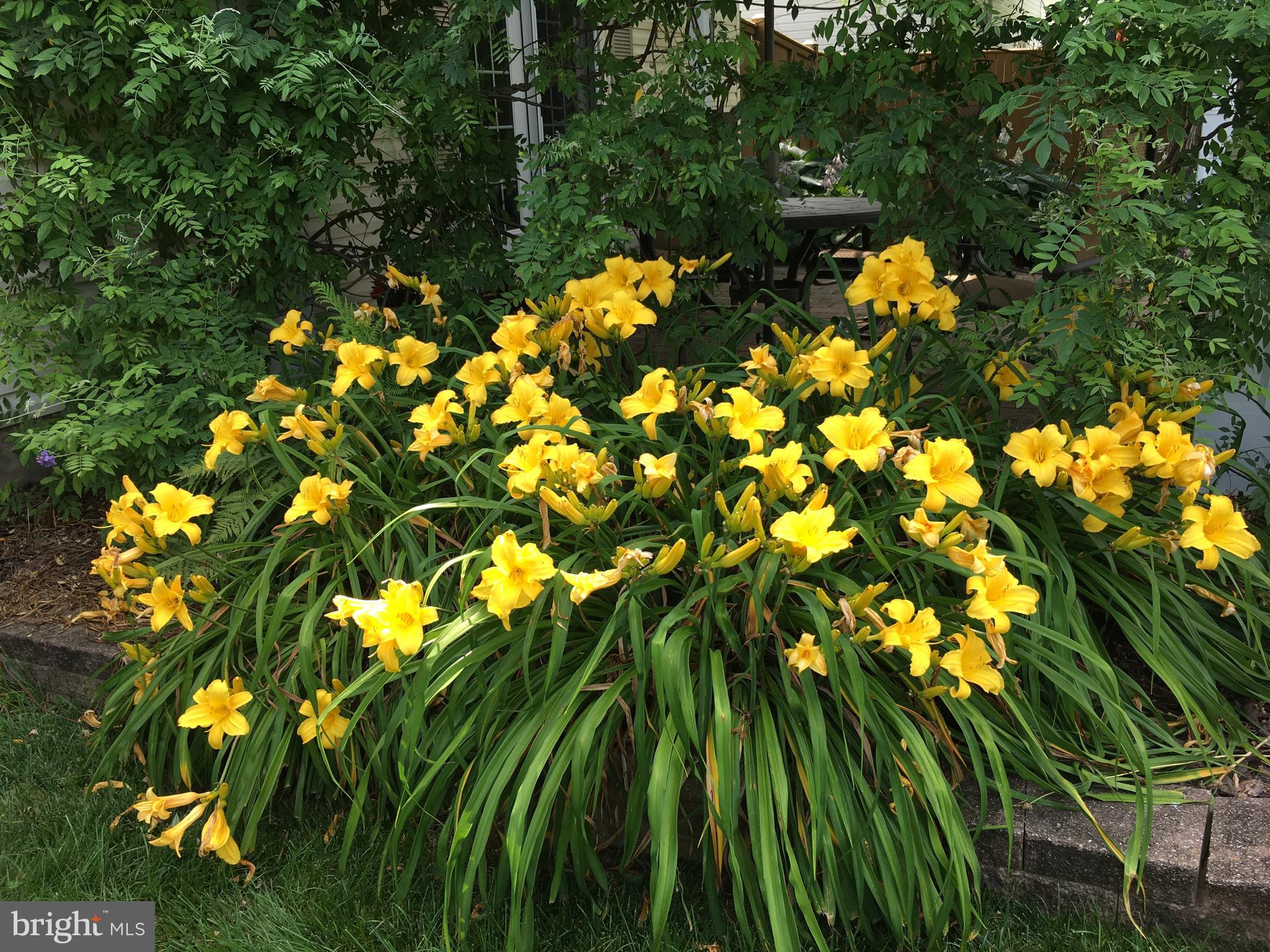 MANOR LAKE - Residential