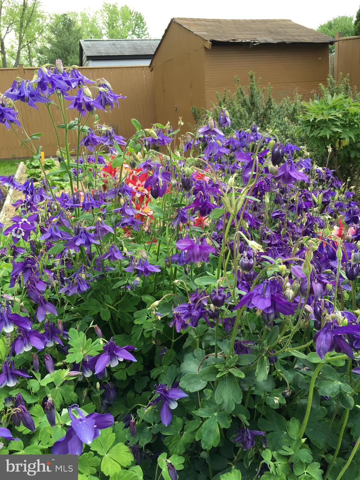 MANOR LAKE - Residential