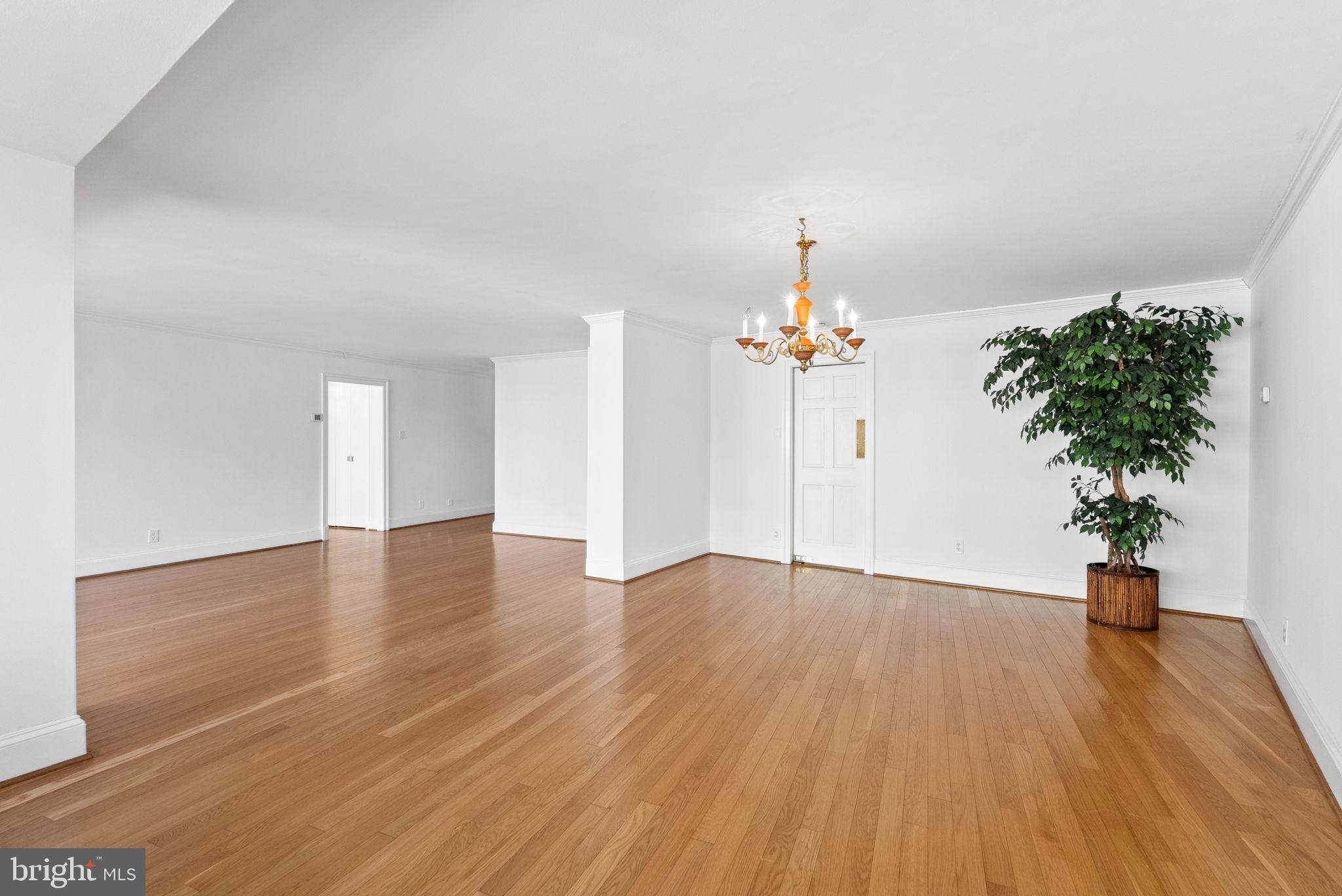 2500 VIRGINIA AVENUE NW 517-S