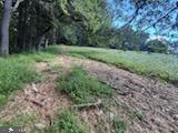MT. CARMEL ROAD