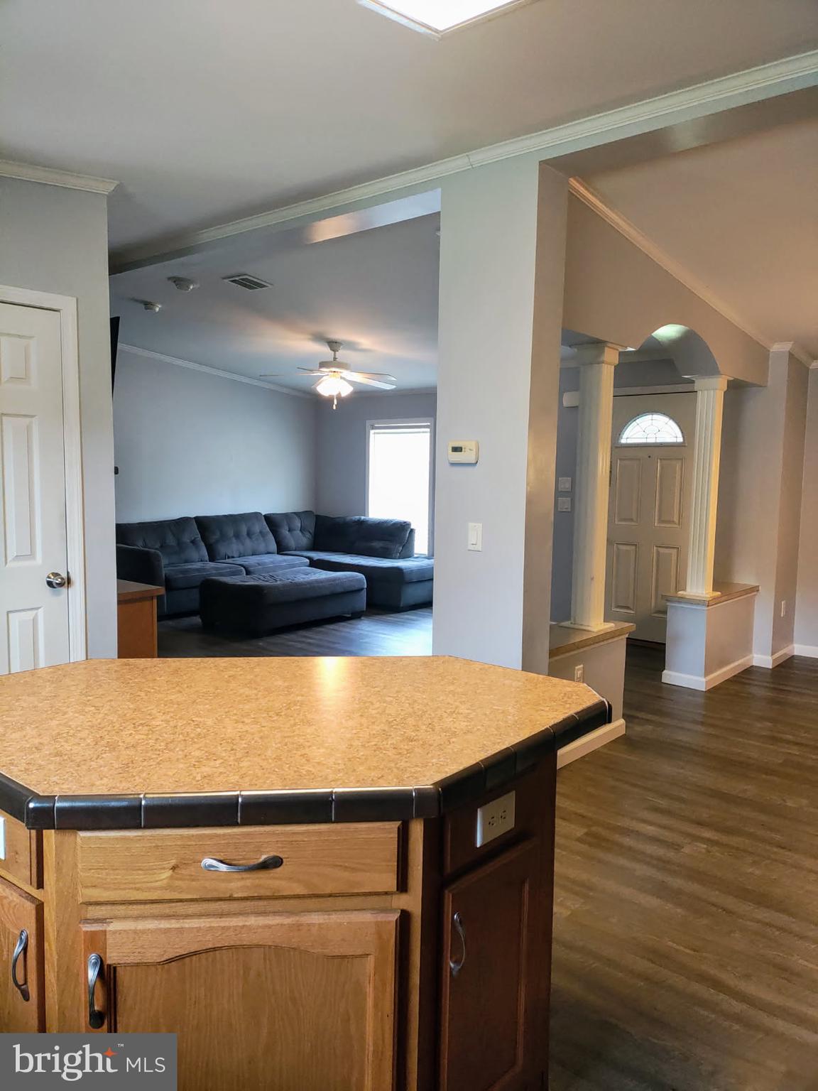 113 BEECH TREE LANE