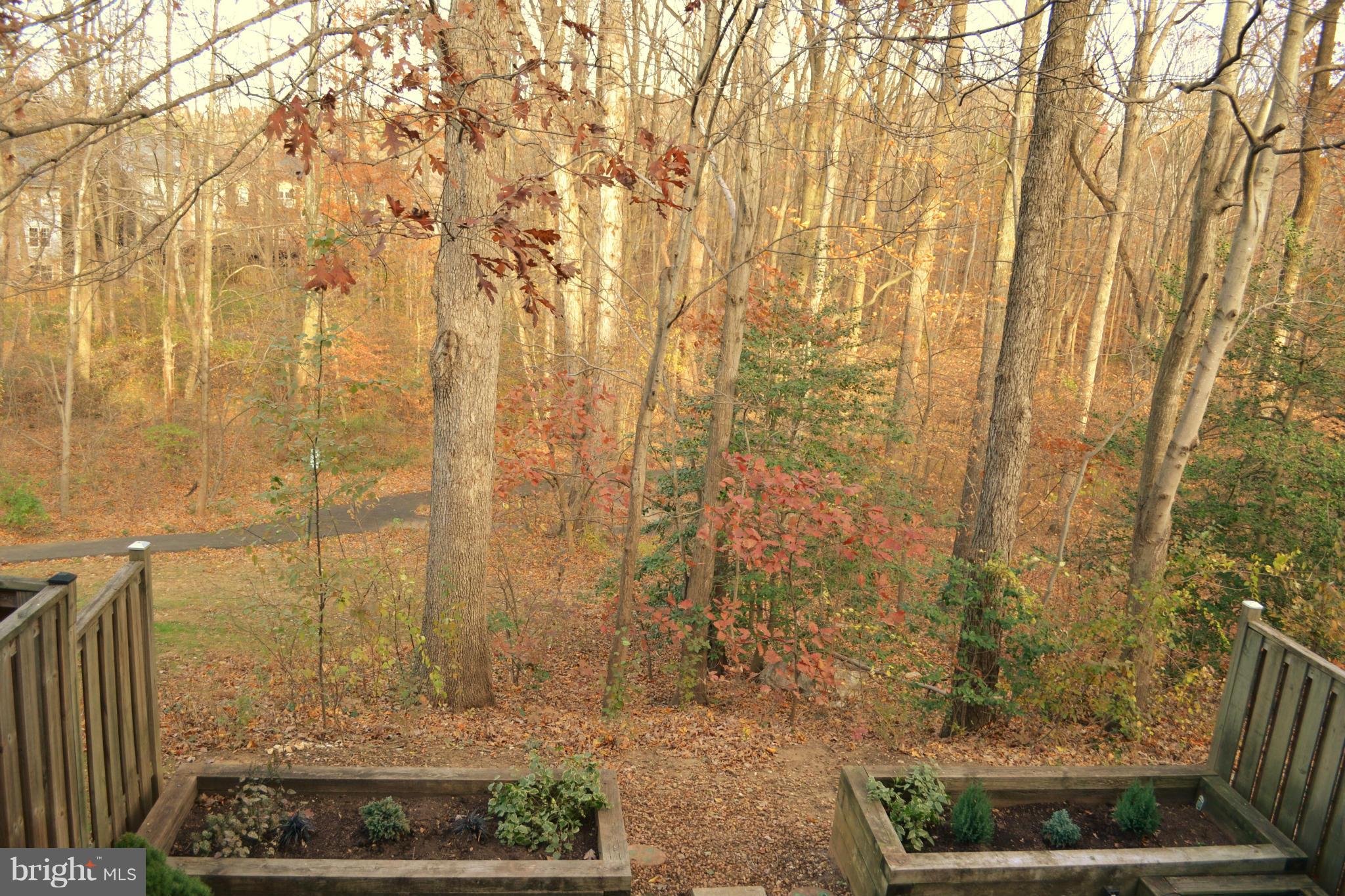 HUNTER VILLAGE - Residential Lease